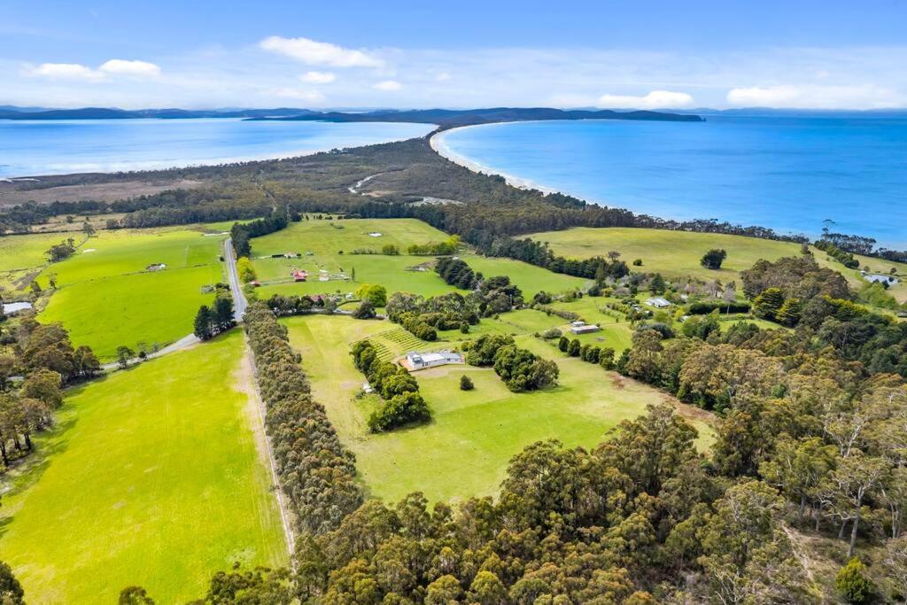 Dreamscapes on Bruny Island