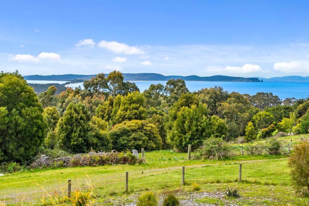 Dreamscapes on Bruny Island
