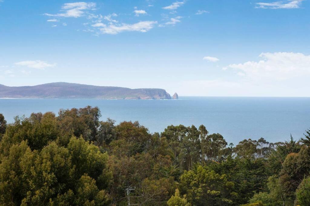 Dreamscapes on Bruny Island