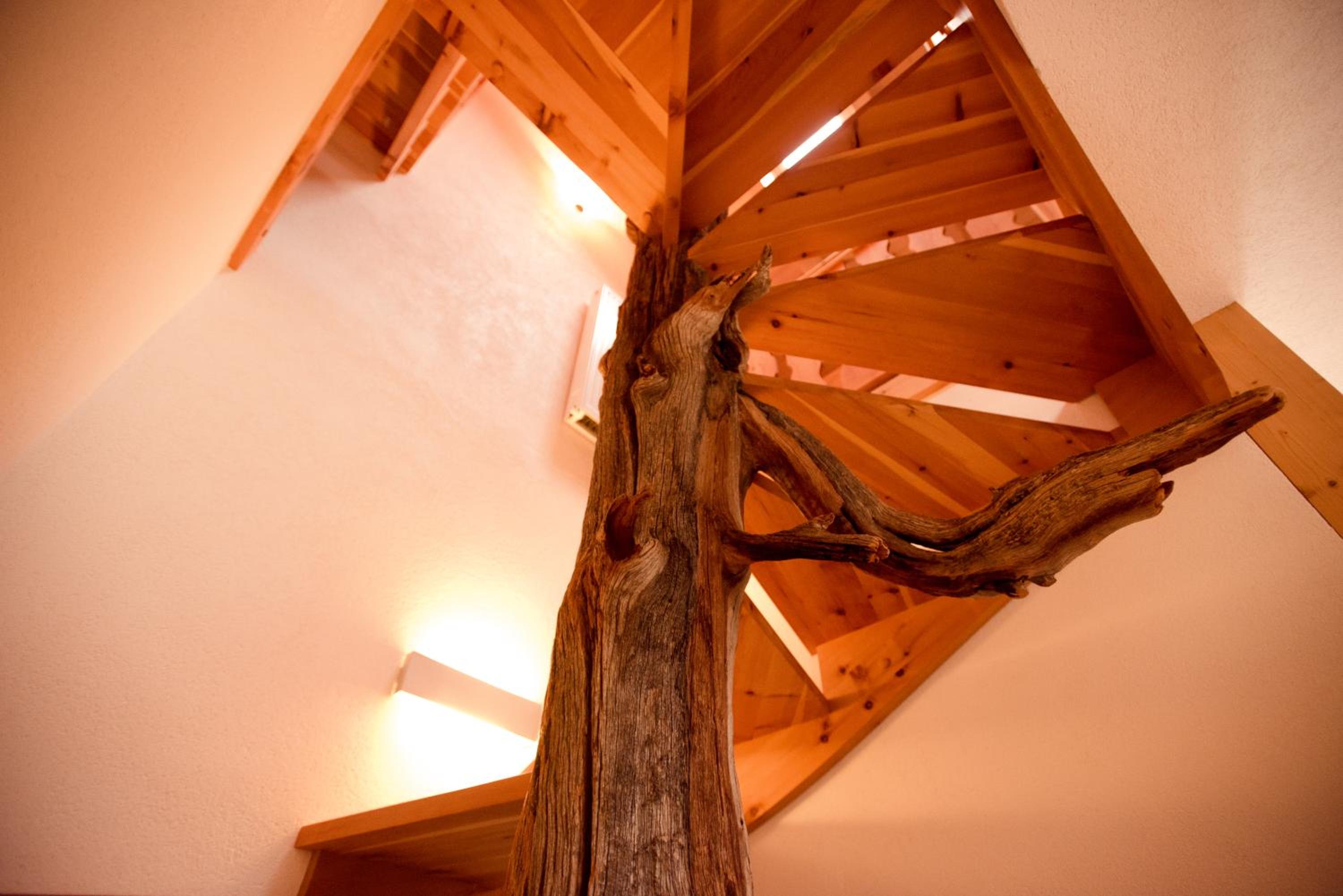 Photo 45
