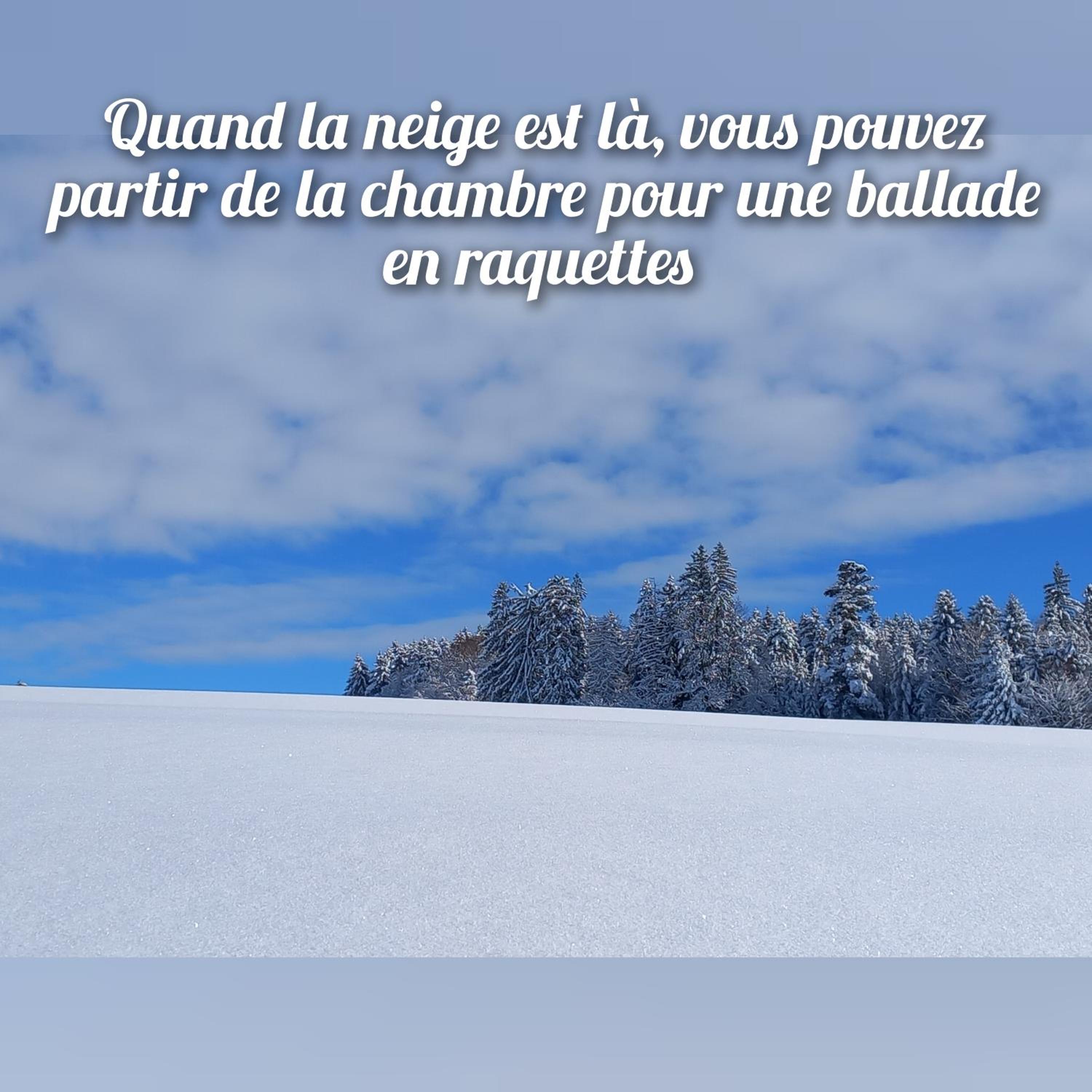 Les Abeilles