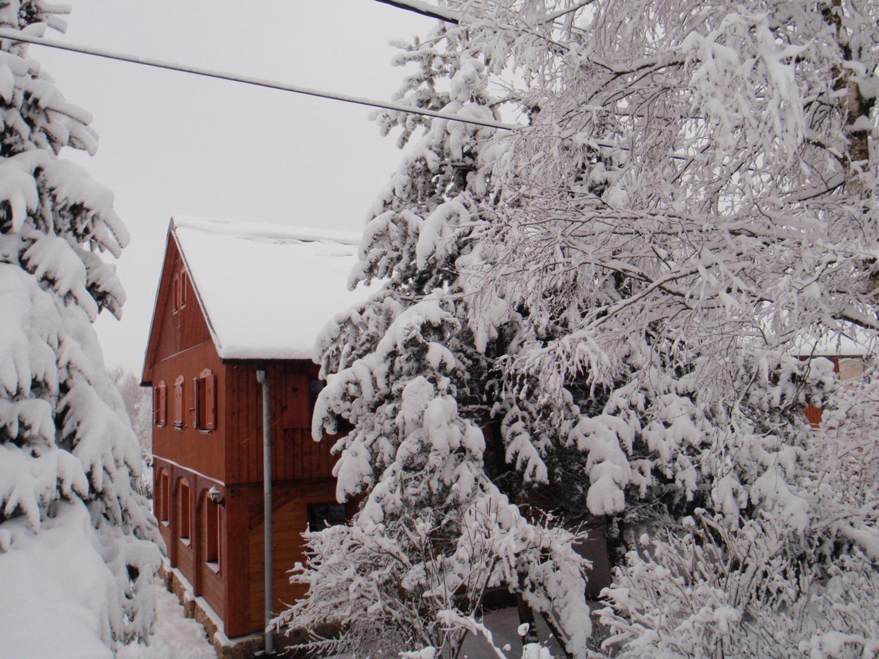Guest House Sněžník