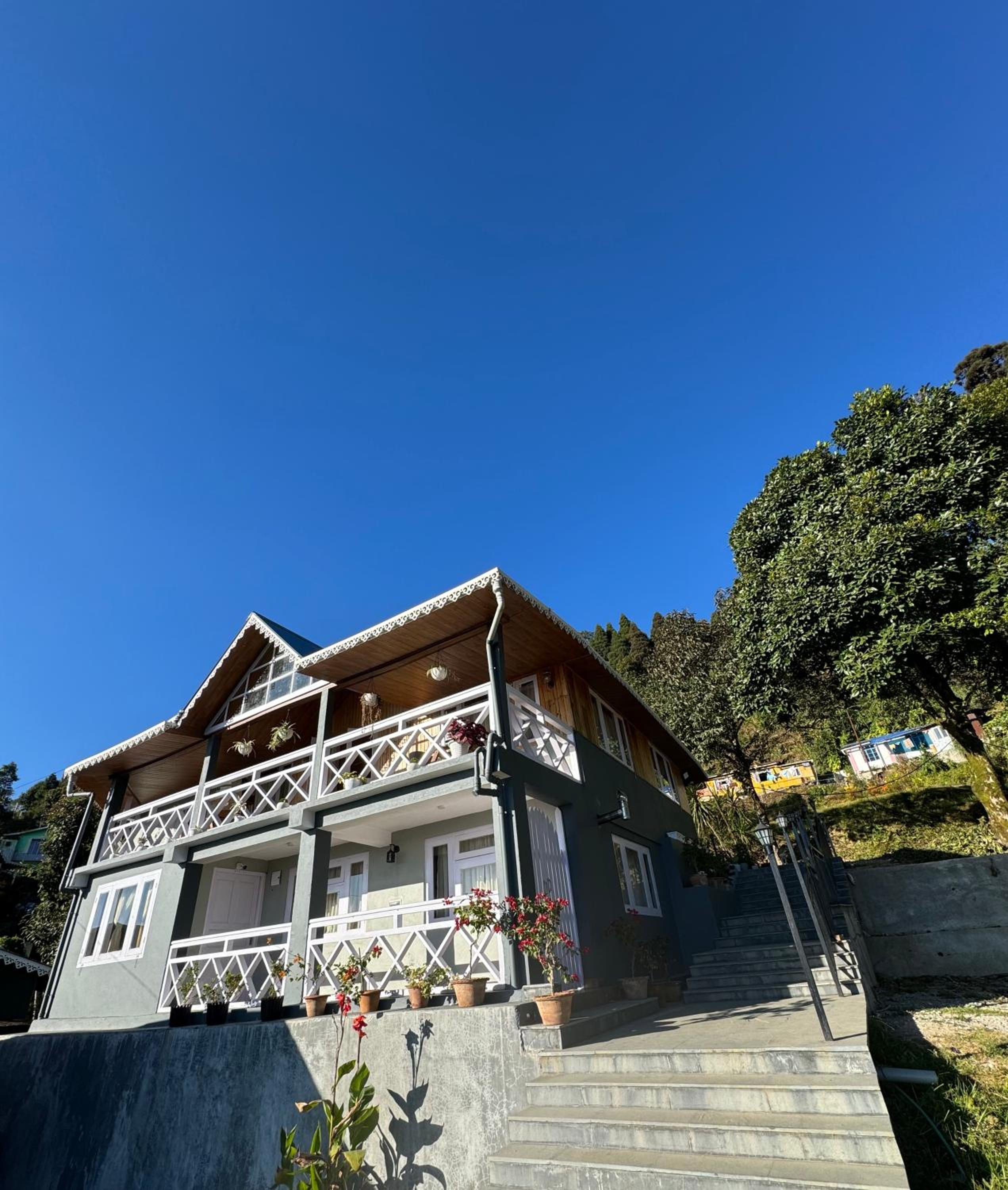 Pine Forest Retreat view 2