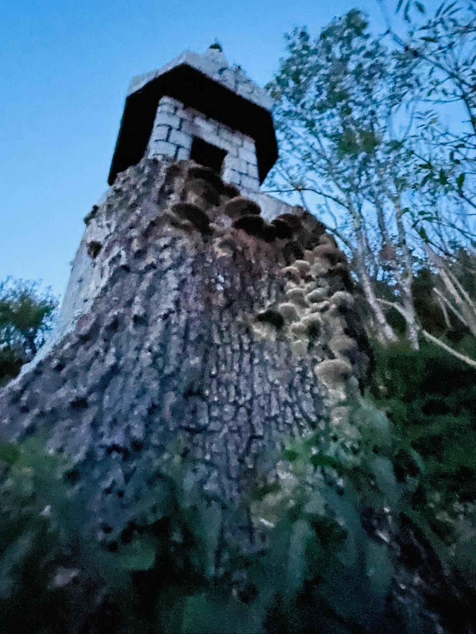 Landhaus Bergheimat in Burgberg für bis zu 14 Personen