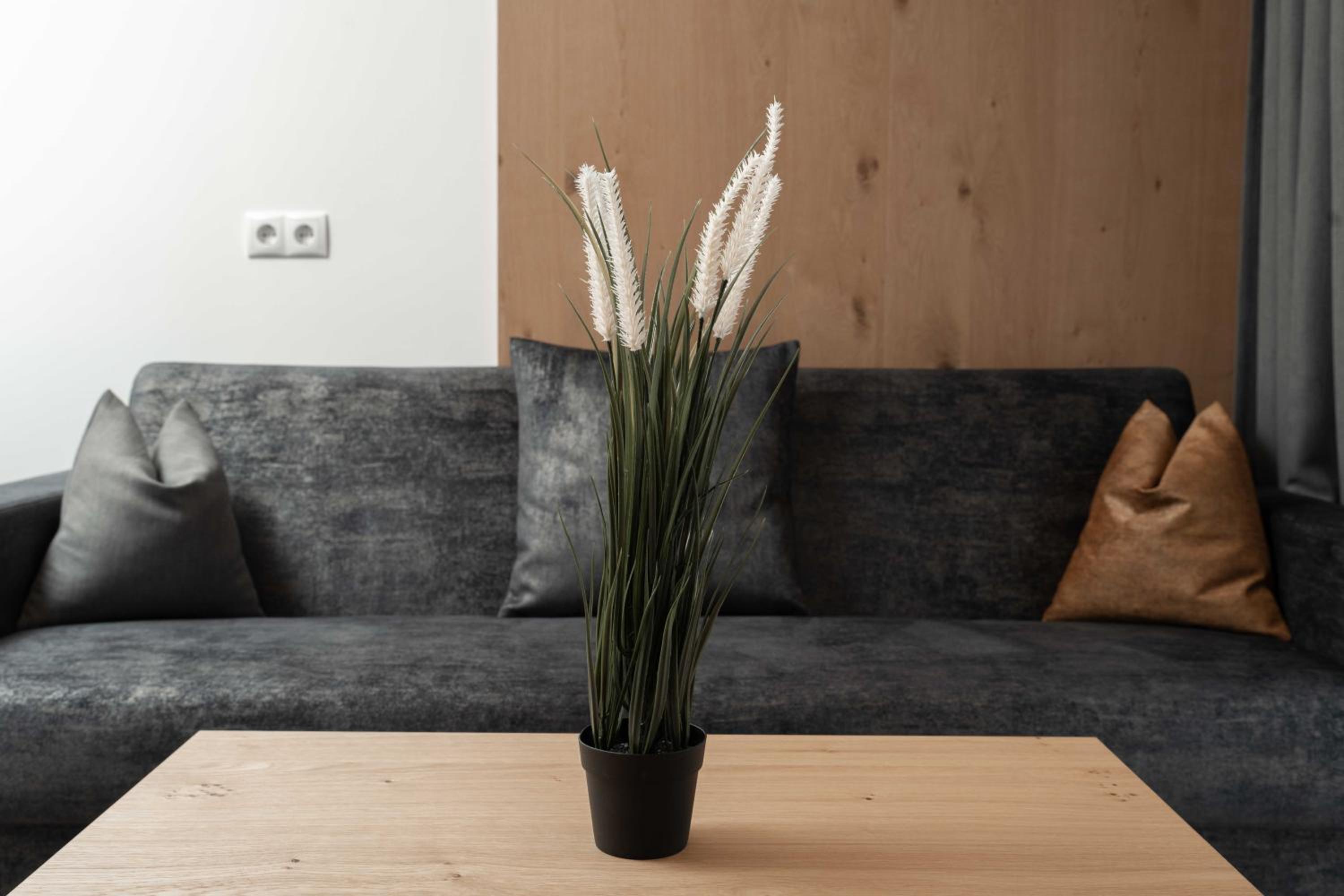 A CASA Serenity