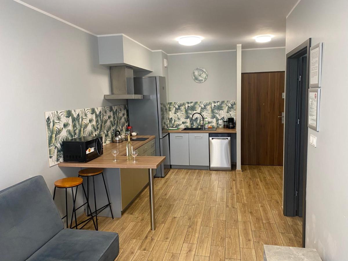 2 Tyskie Apartamenty z ogródkiem view 4