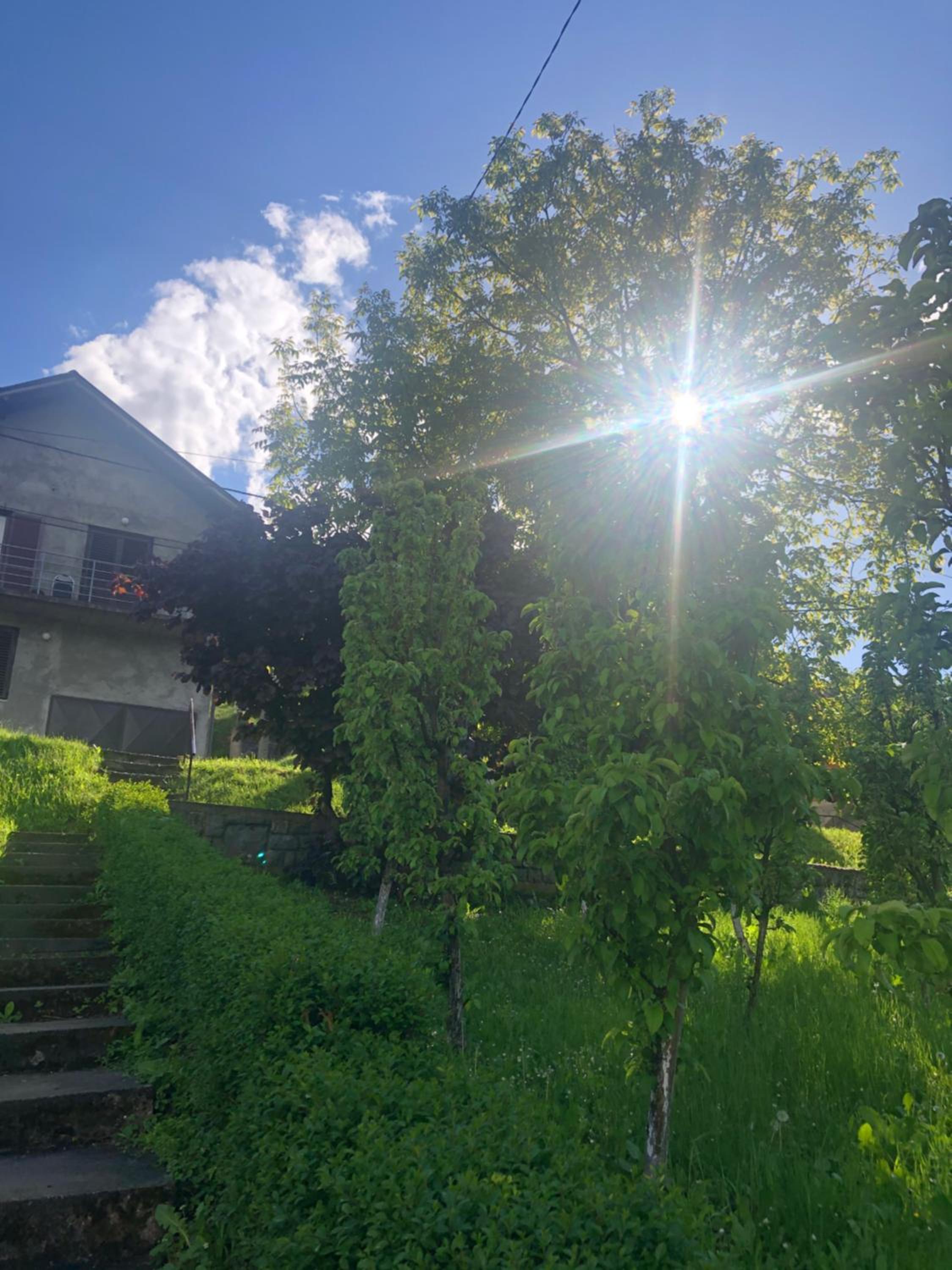 Photo 38