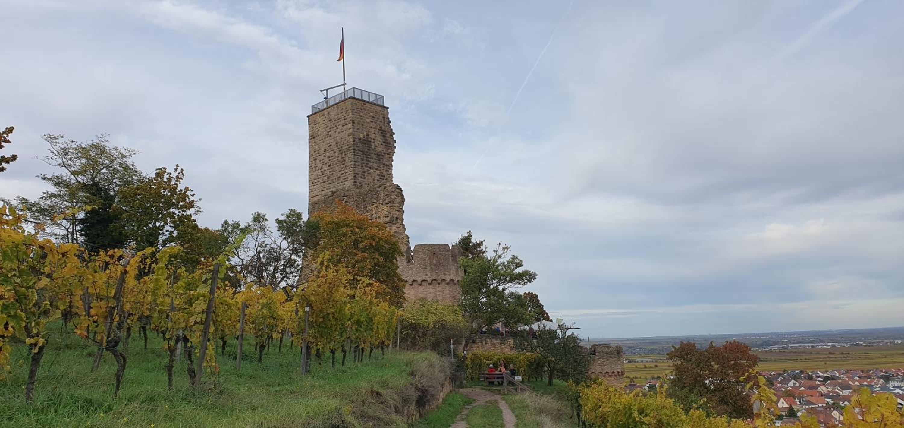Morio en Friedelsheim — other