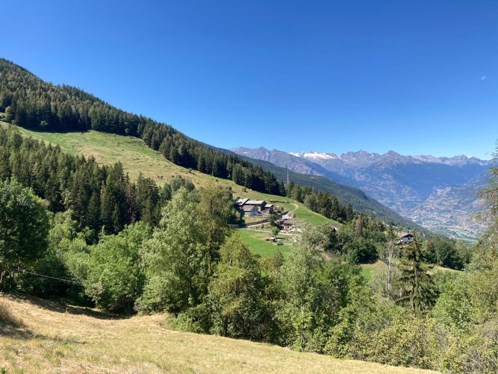 Chez Lilli - Mountain Experience