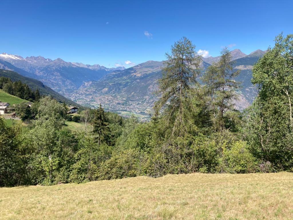 Chez Lilli - Mountain Experience