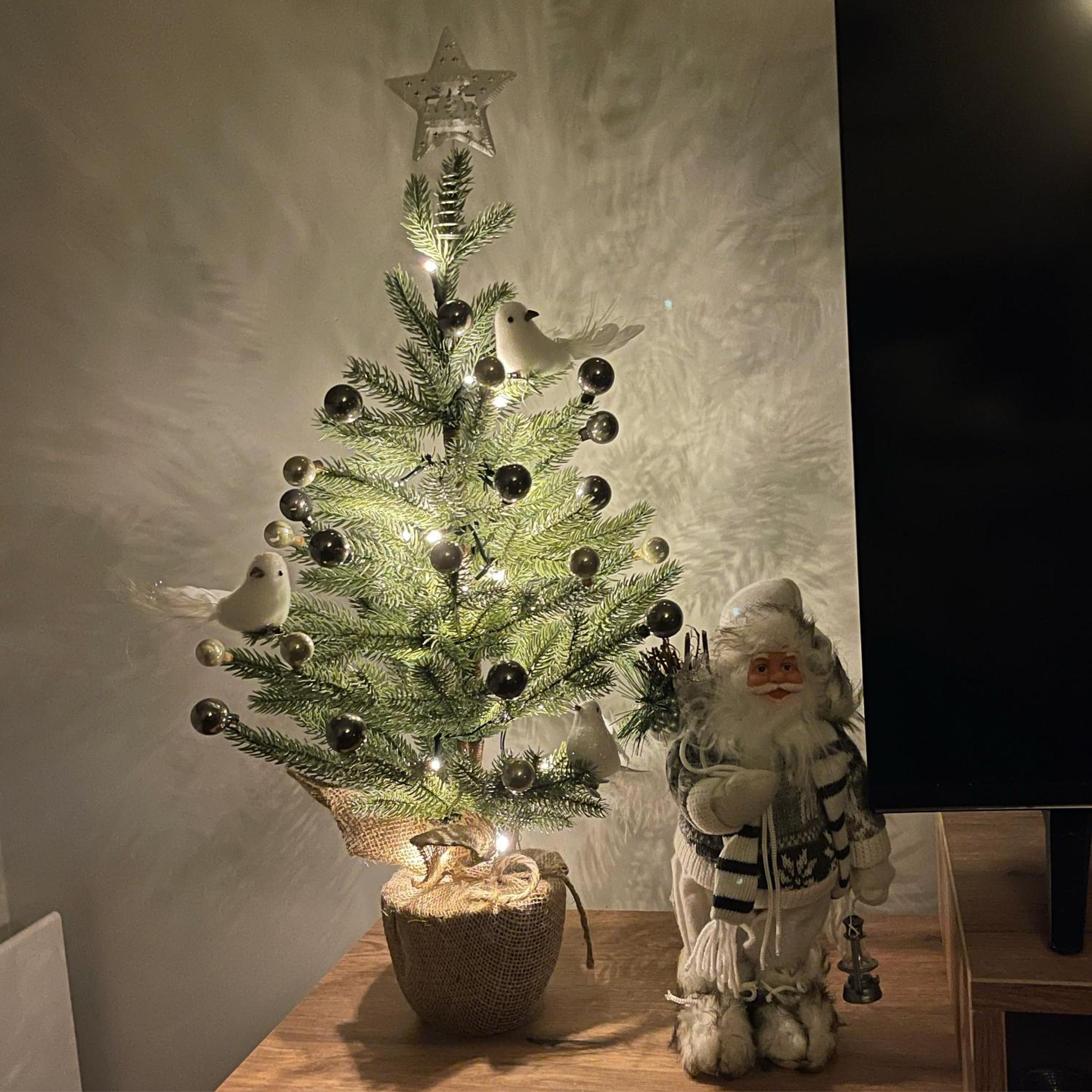 Apartman Aleni - Bela Reka, Brzeće view 3