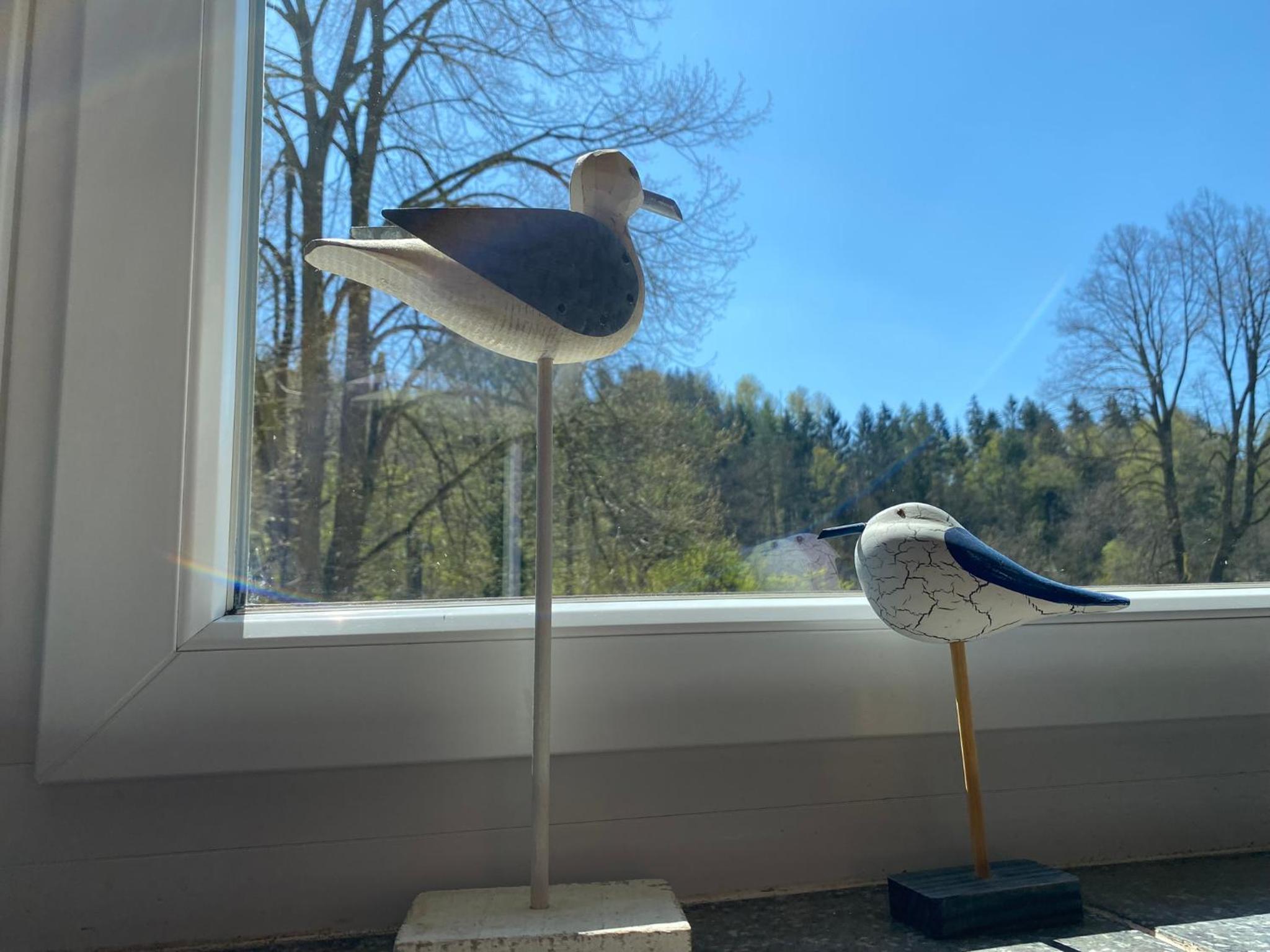 Ferienwohnungen im Gästehaus der Villa Wilisch