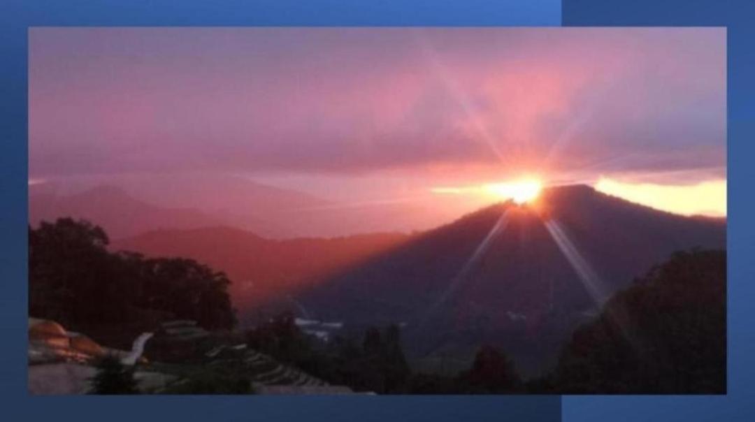 Kensington Sunrise sg, Palas Horizon,kea farm