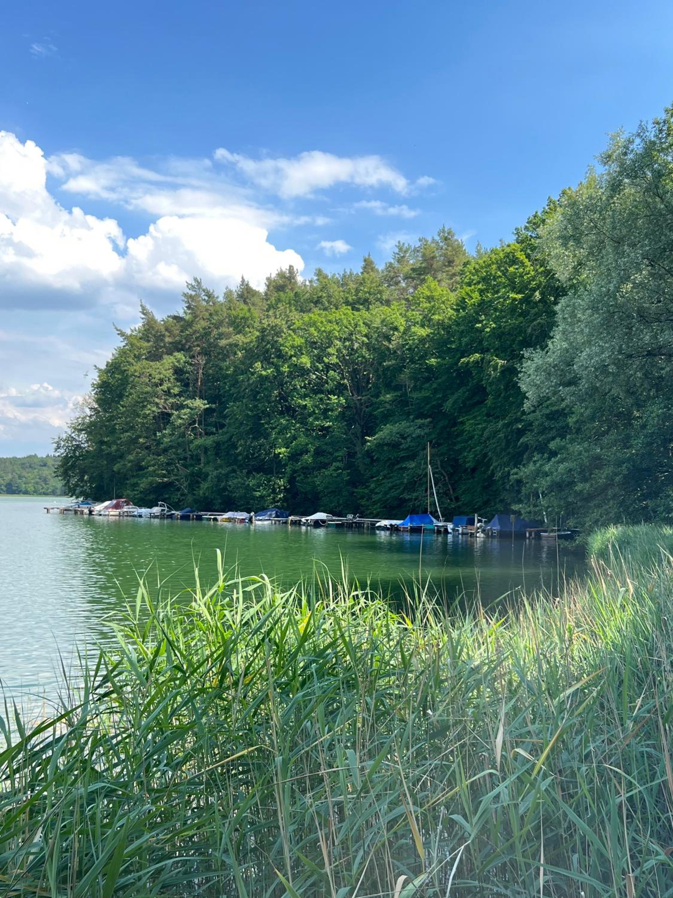 Ferienhaus Auszeit mit Sauna