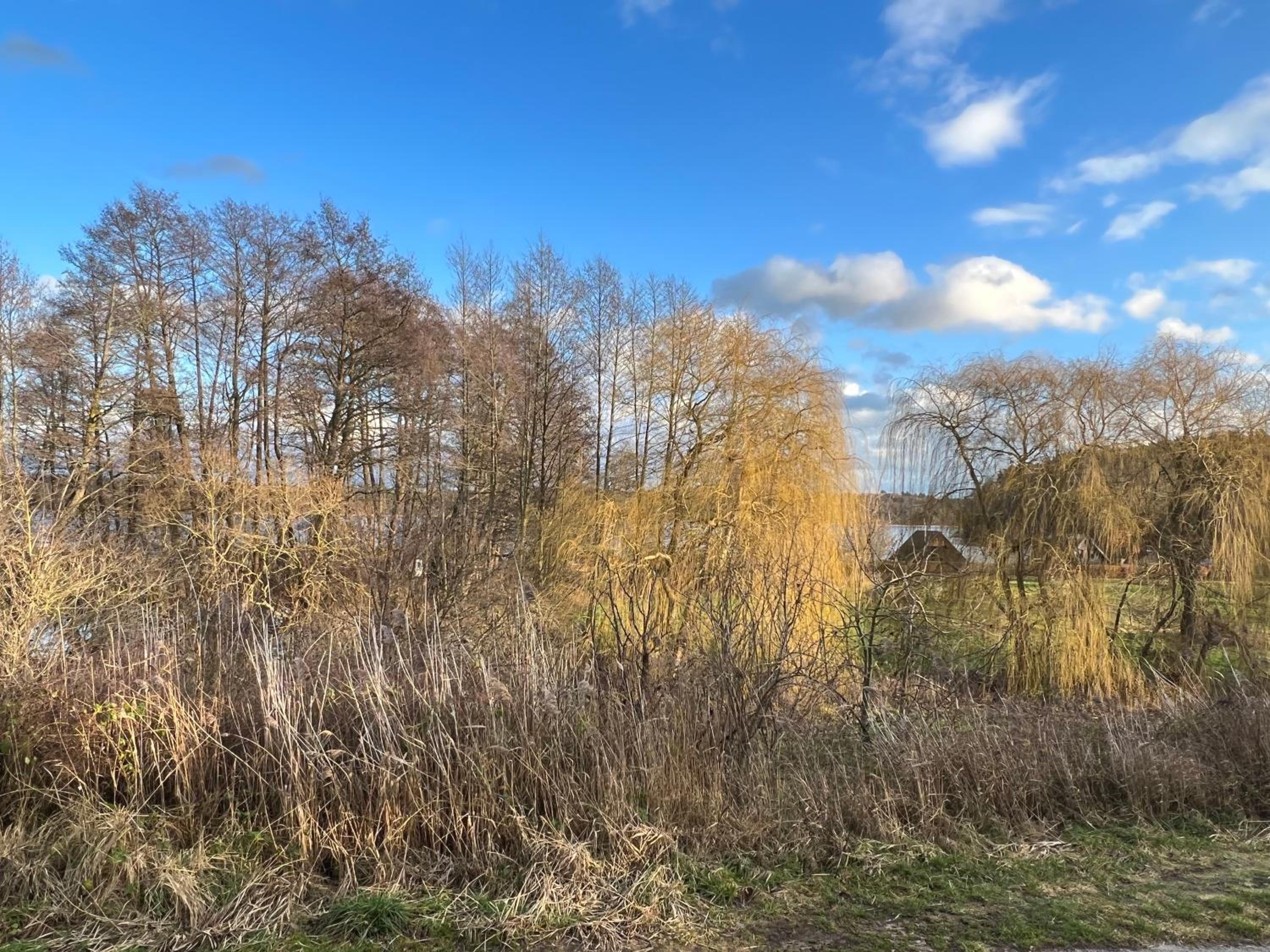 Ferienhaus Auszeit mit Sauna