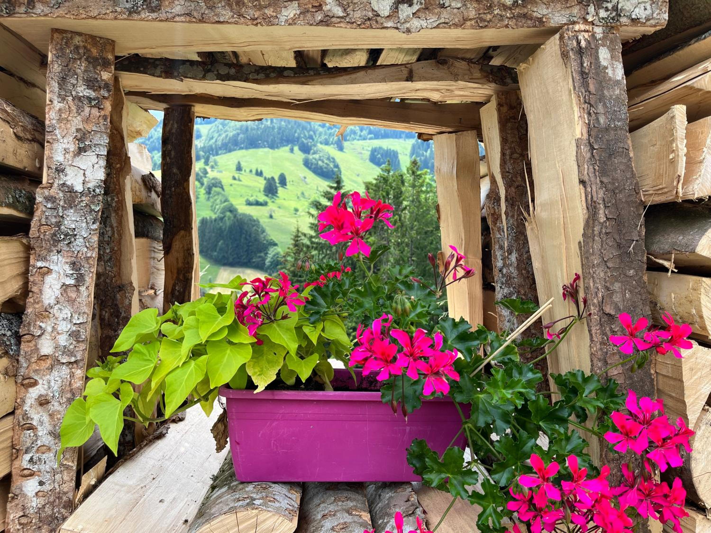 Ferienwohnung im Historischen Schwarzwaldhaus