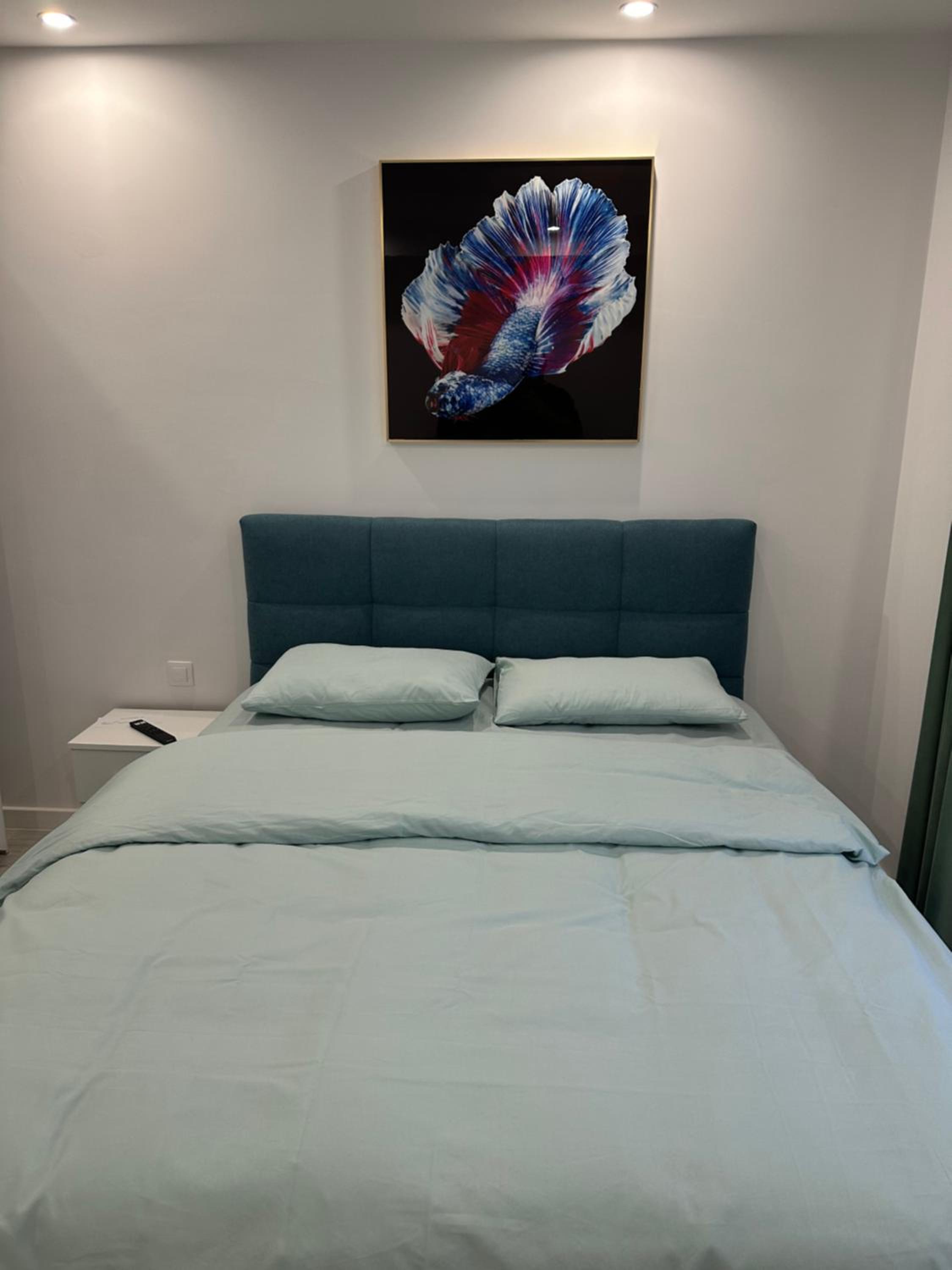 Adagio apartment