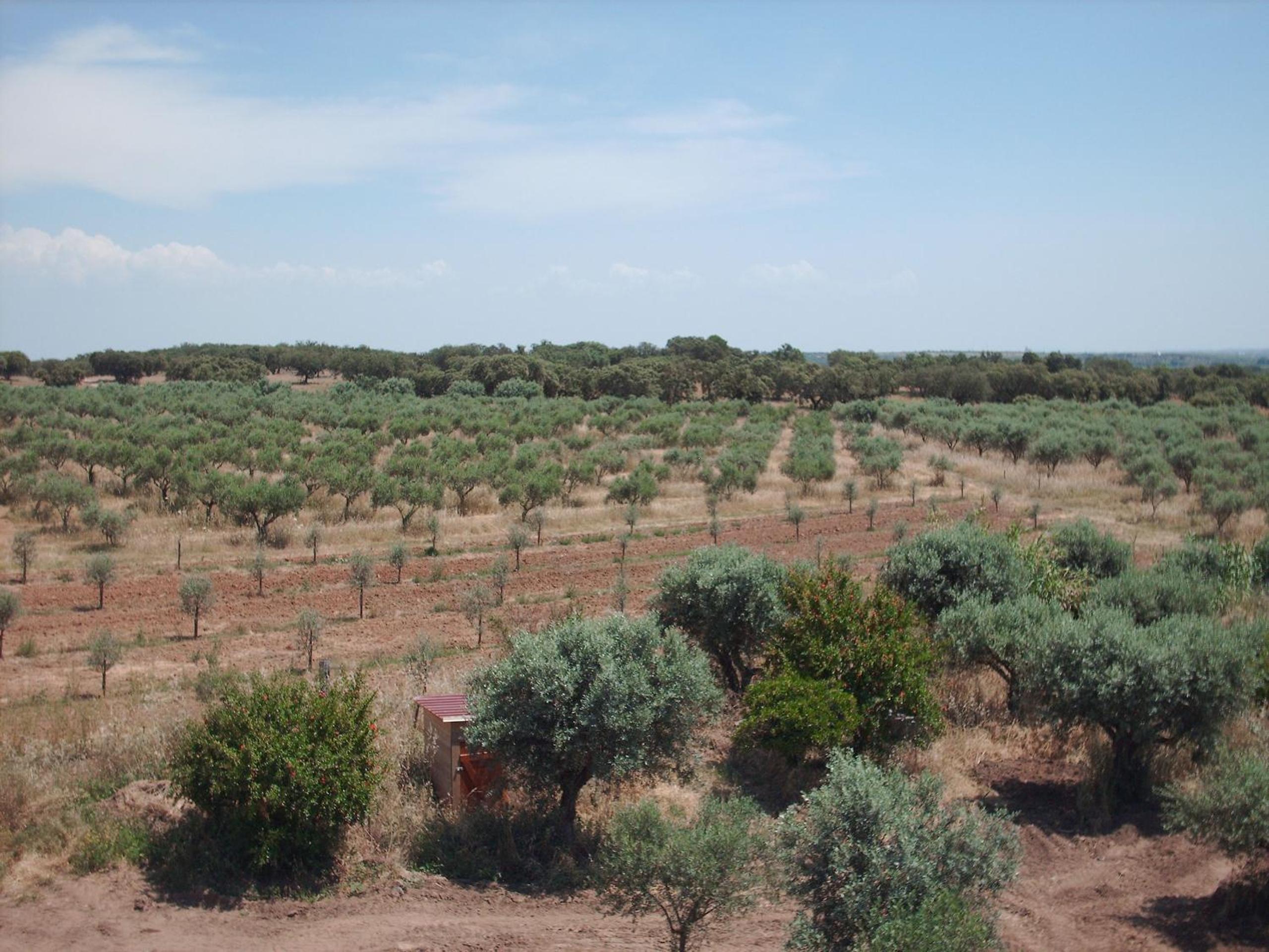 Photo 25