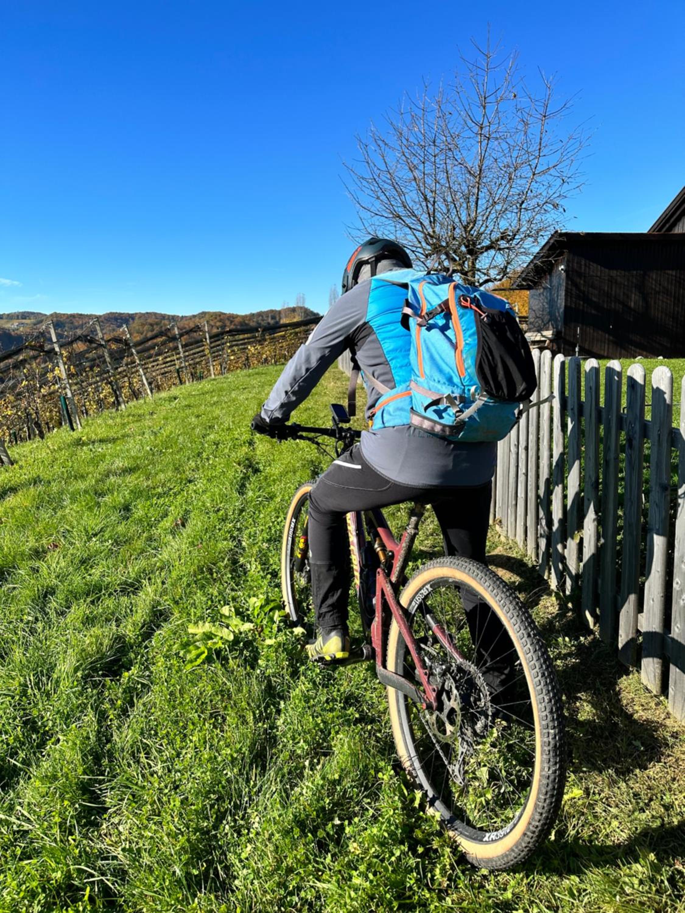 Kranach 5 - Wohnen beim Wein