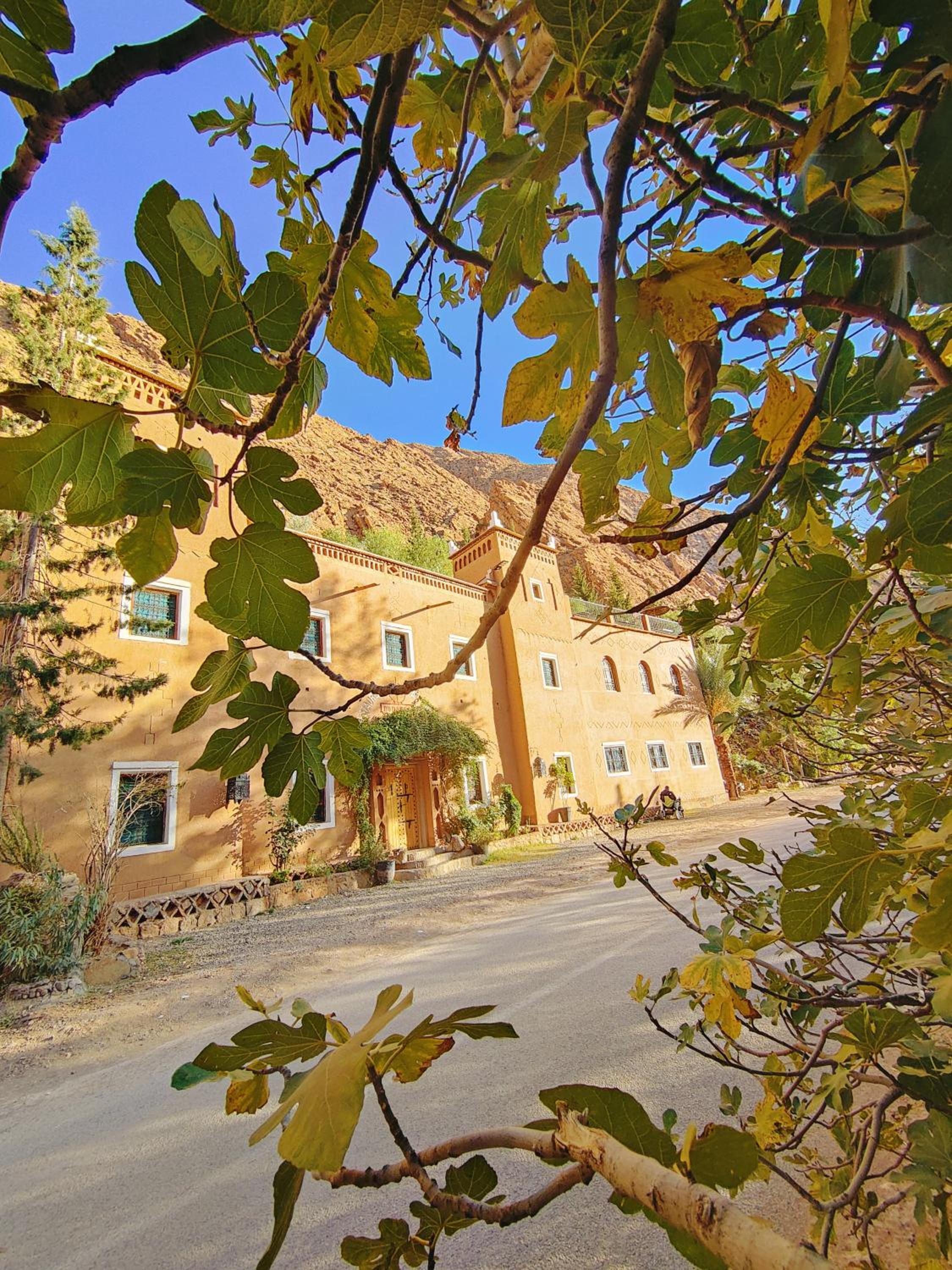 Auberge La Fibule Du Dades