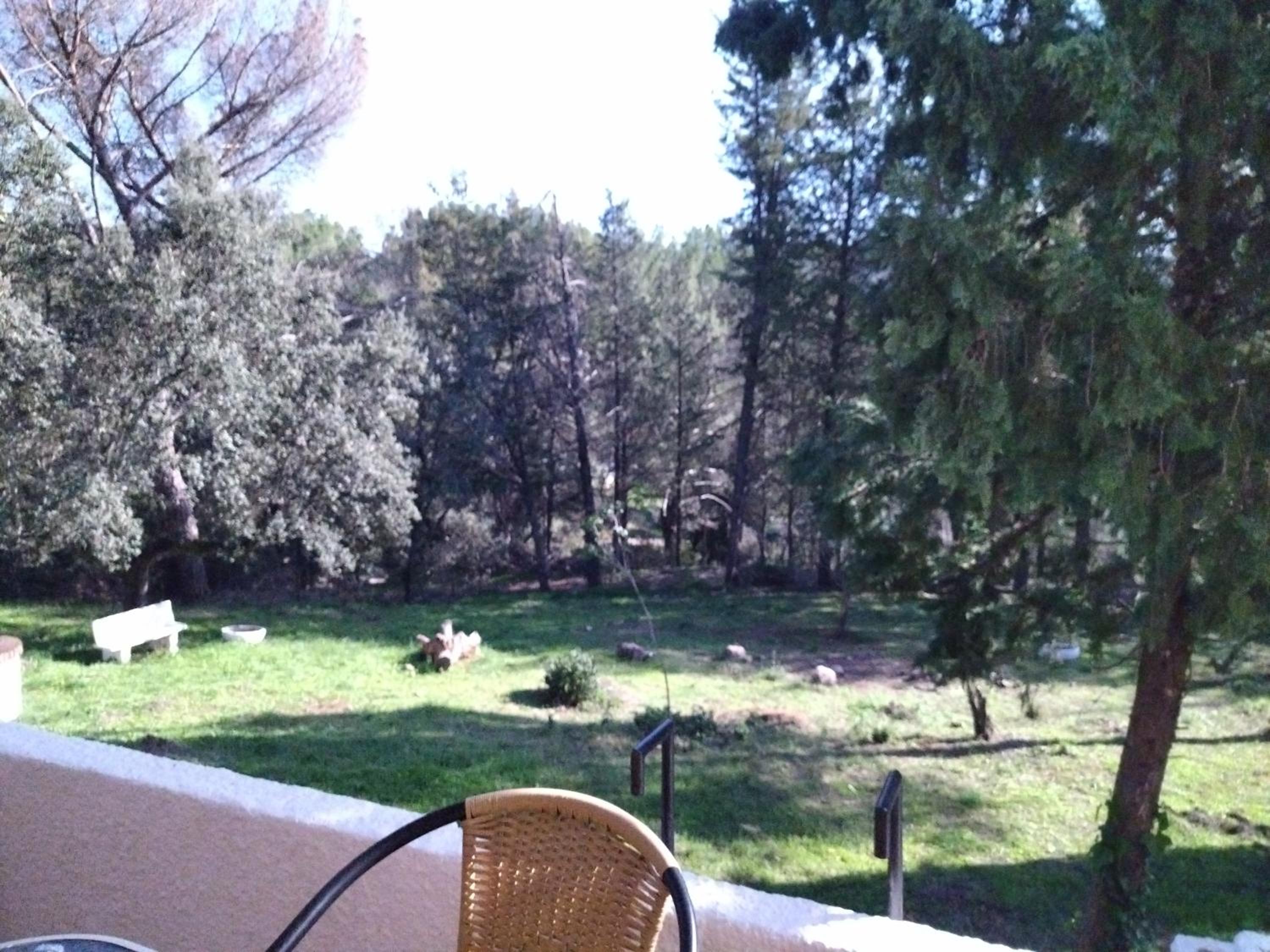 Photo 43
