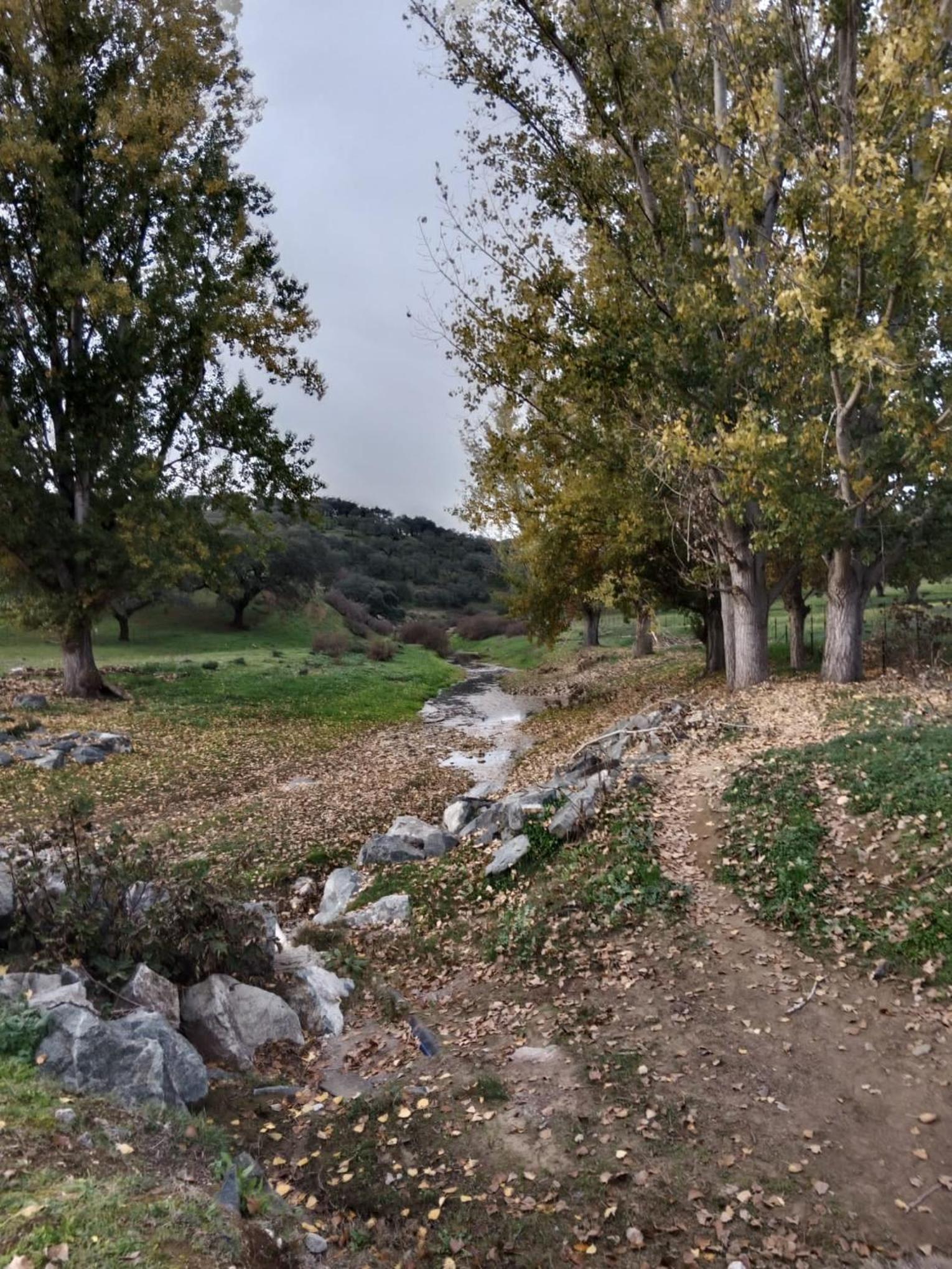 Photo 15