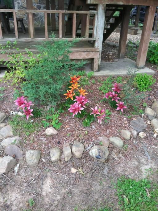 Photo 34