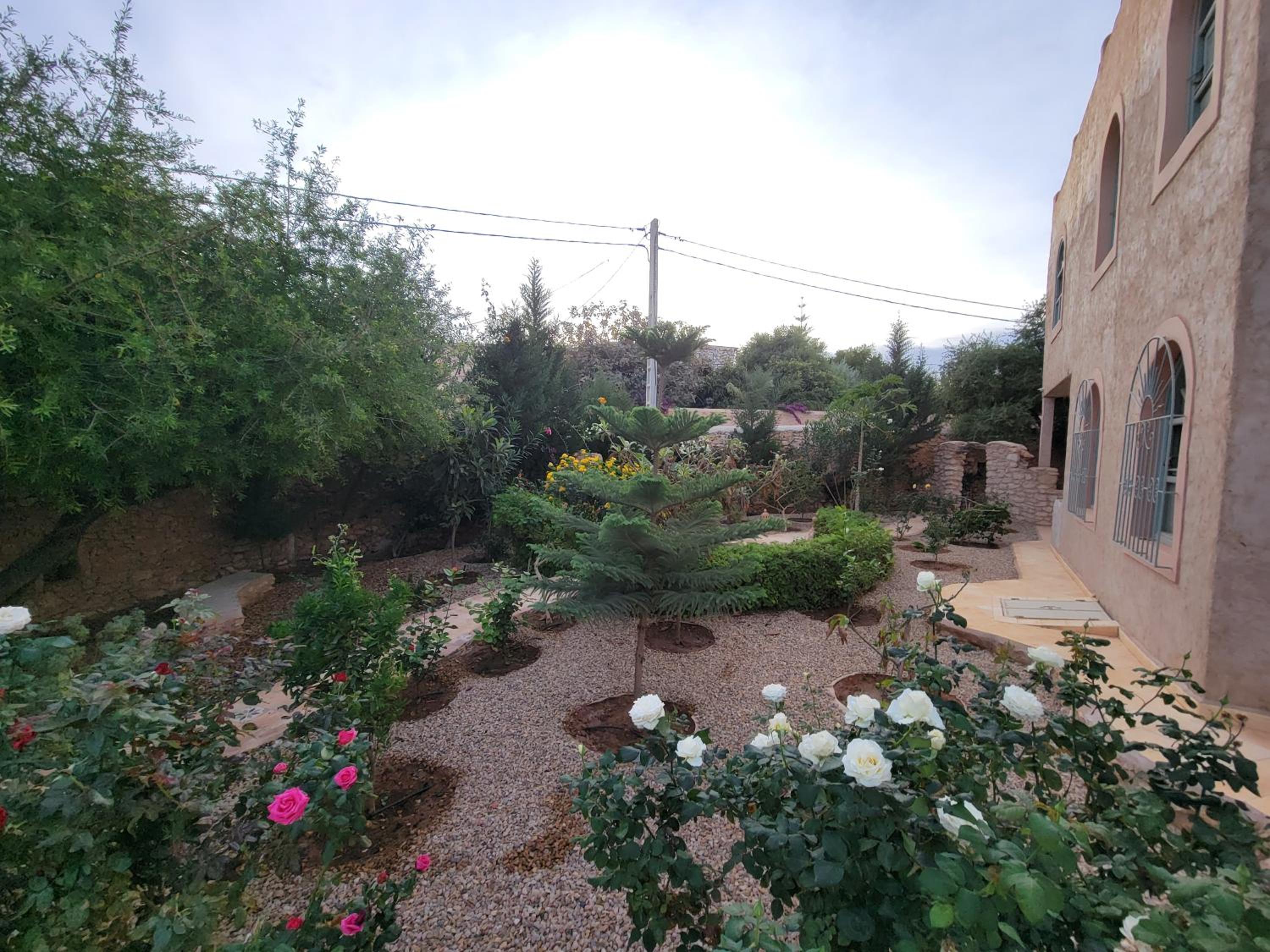 Photo 18