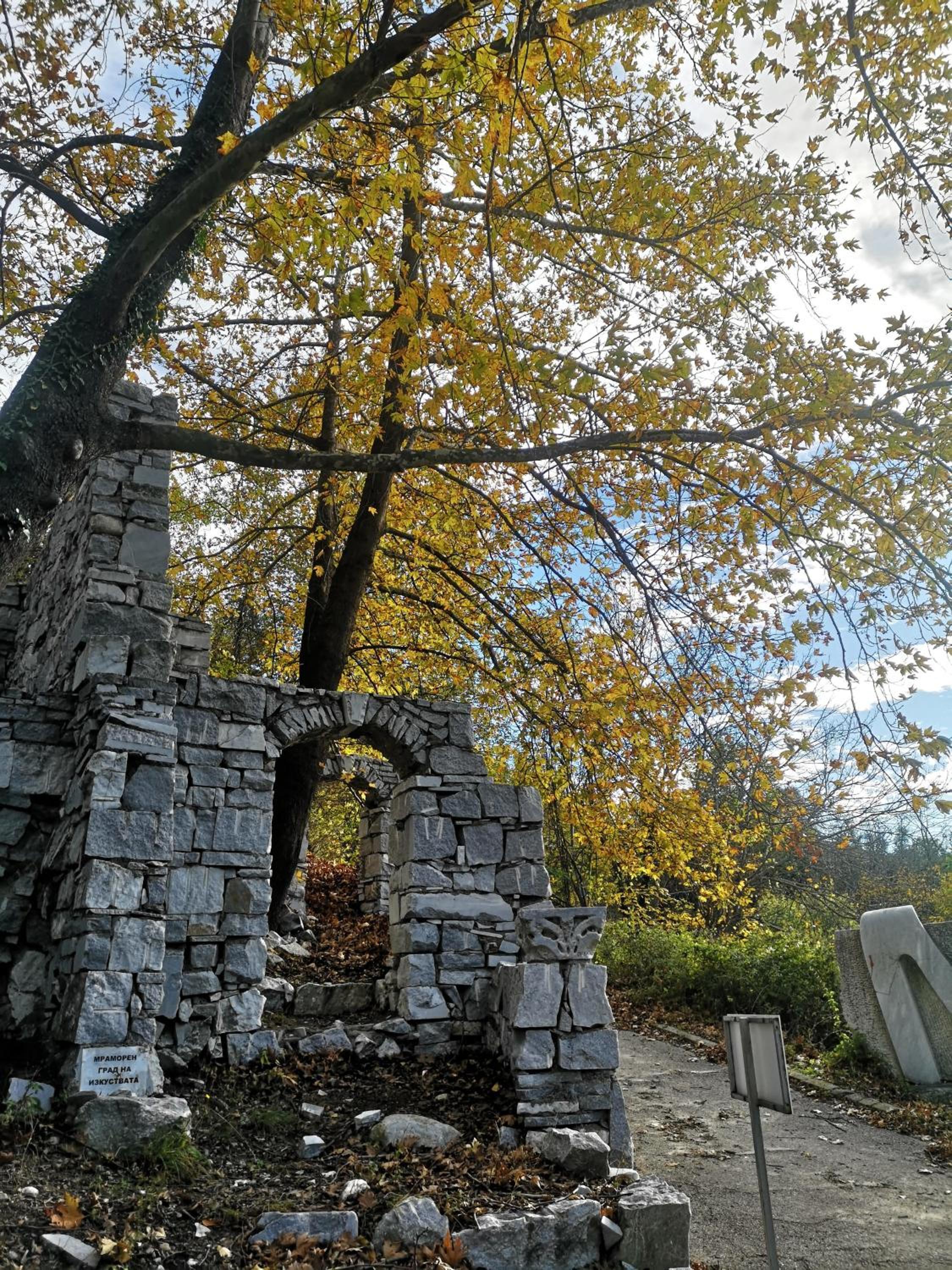 Photo 22