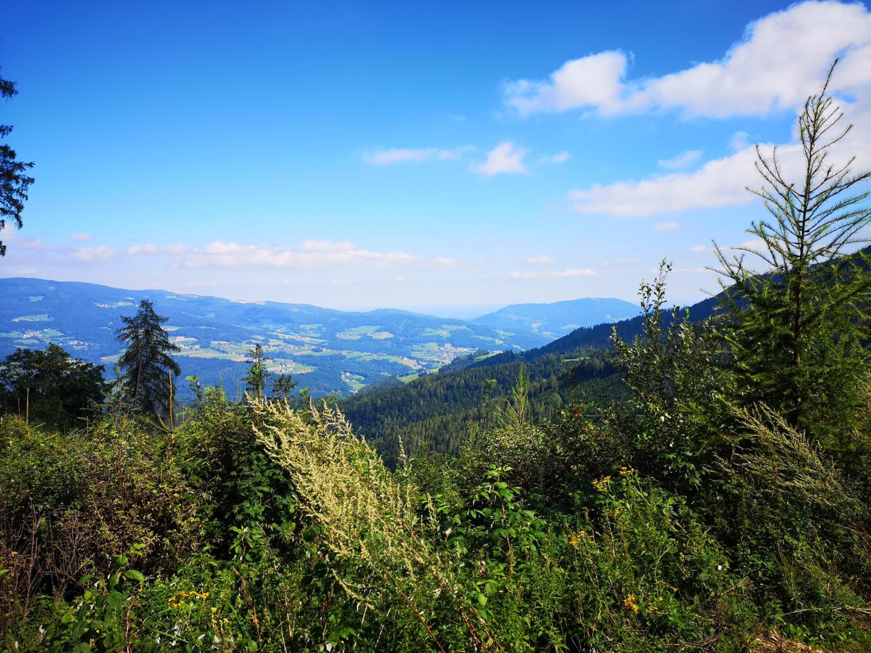 Kleinhofers Himbeernest