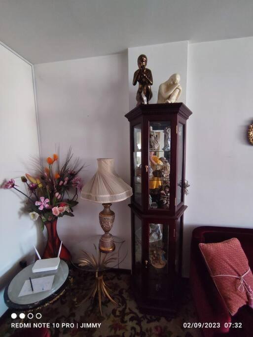 Hermoso Departamento en La Paz, céntrico, Sopocachi