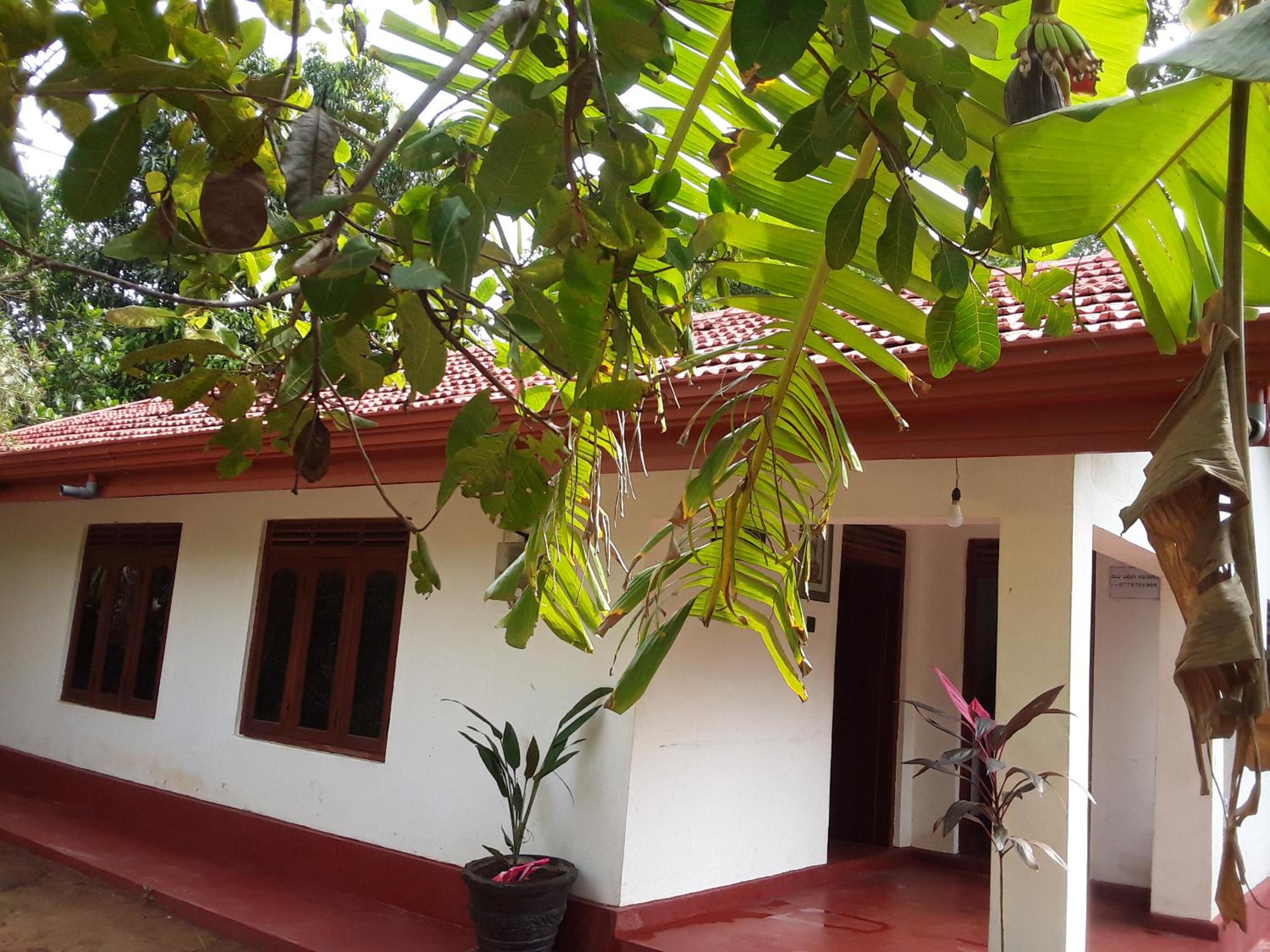 LLT budget room WILPATTU view 3