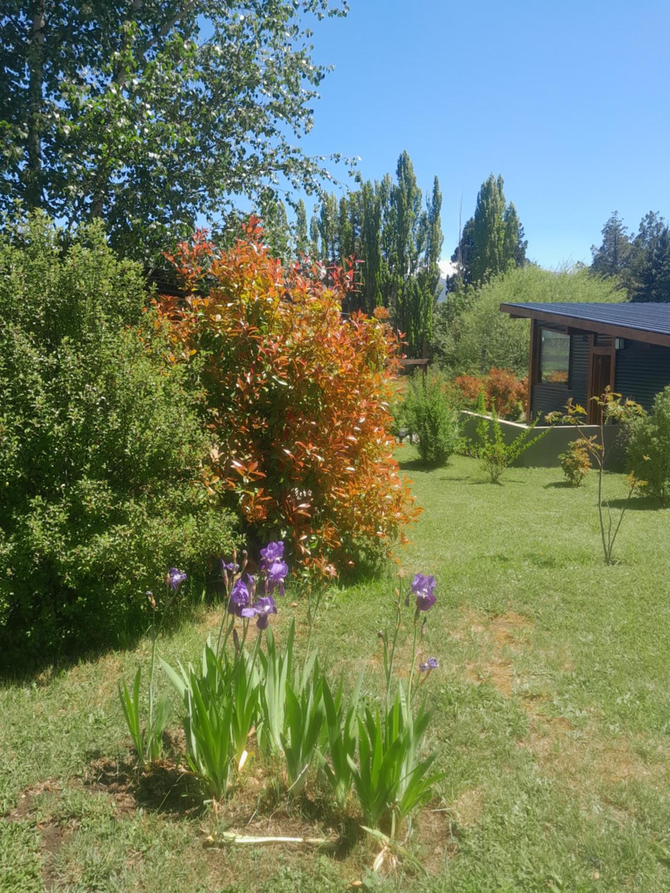 Cabañas Tierra Verde