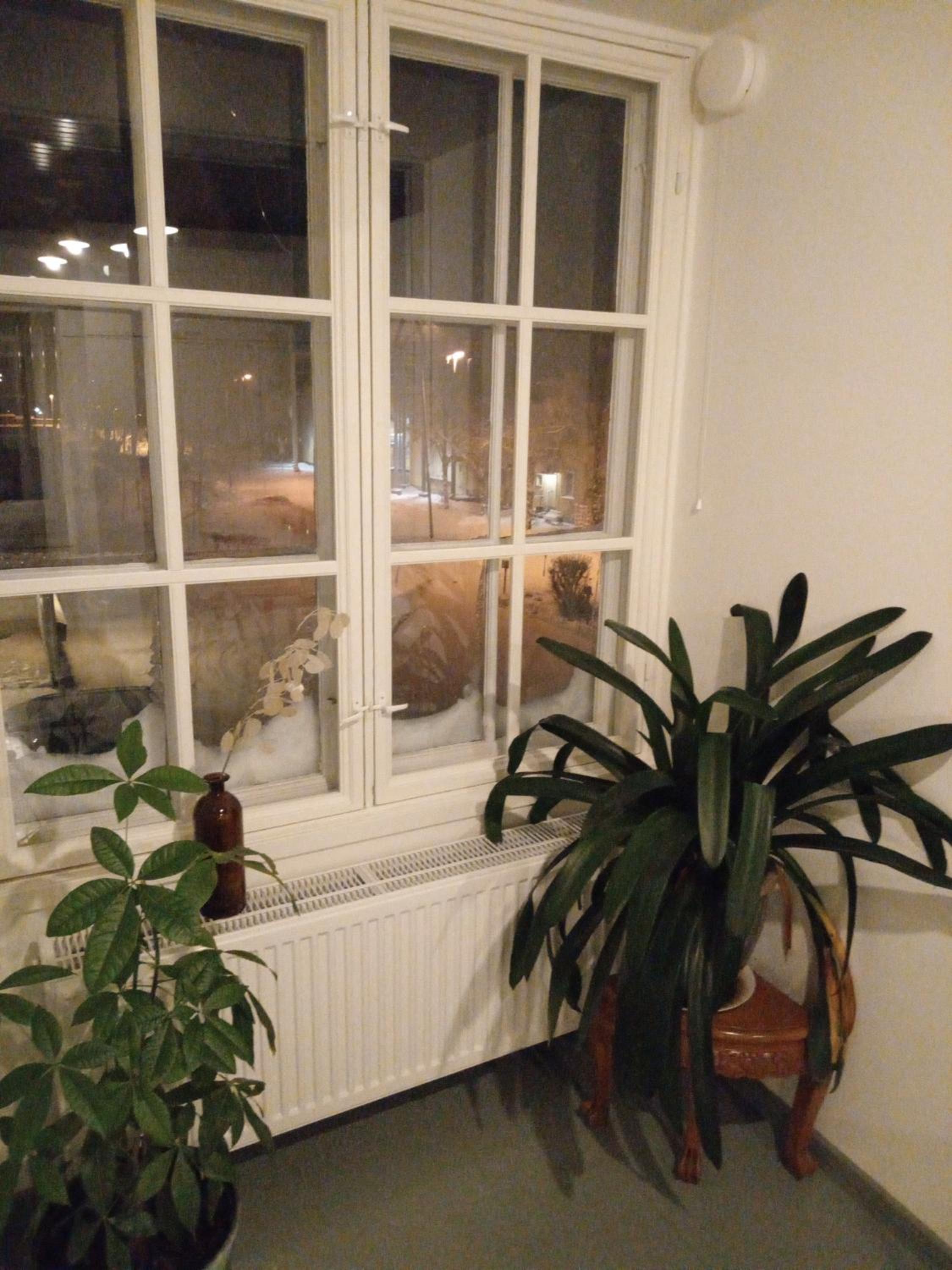 Photo 29