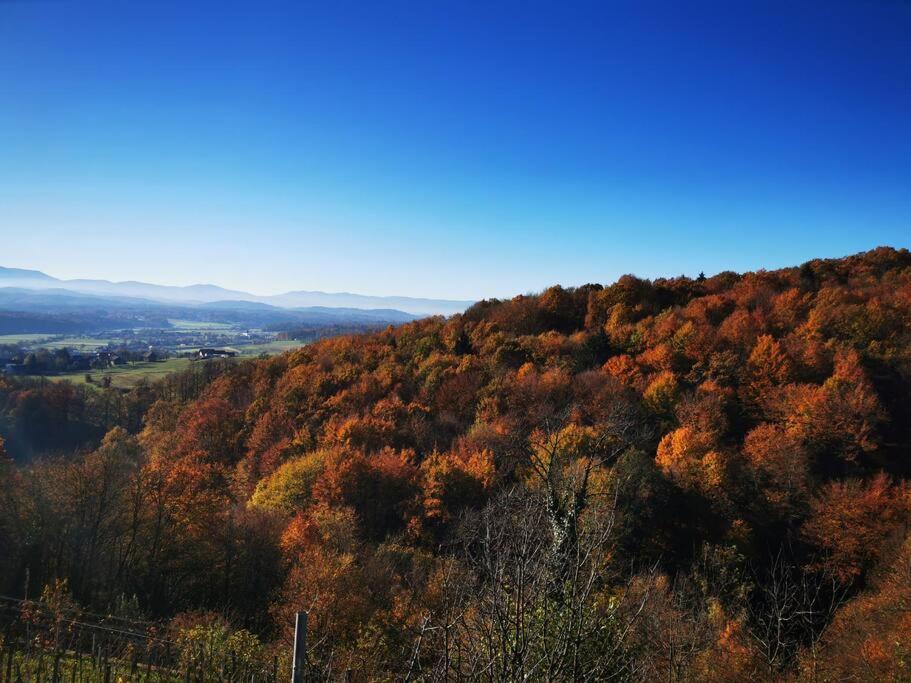 Hiška sončni hrib. view 4