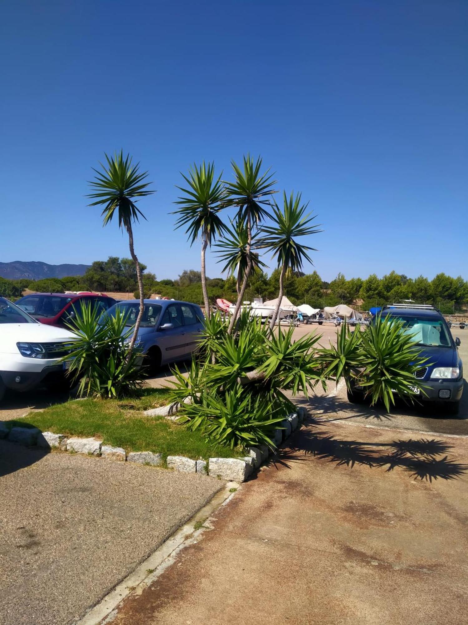 parking