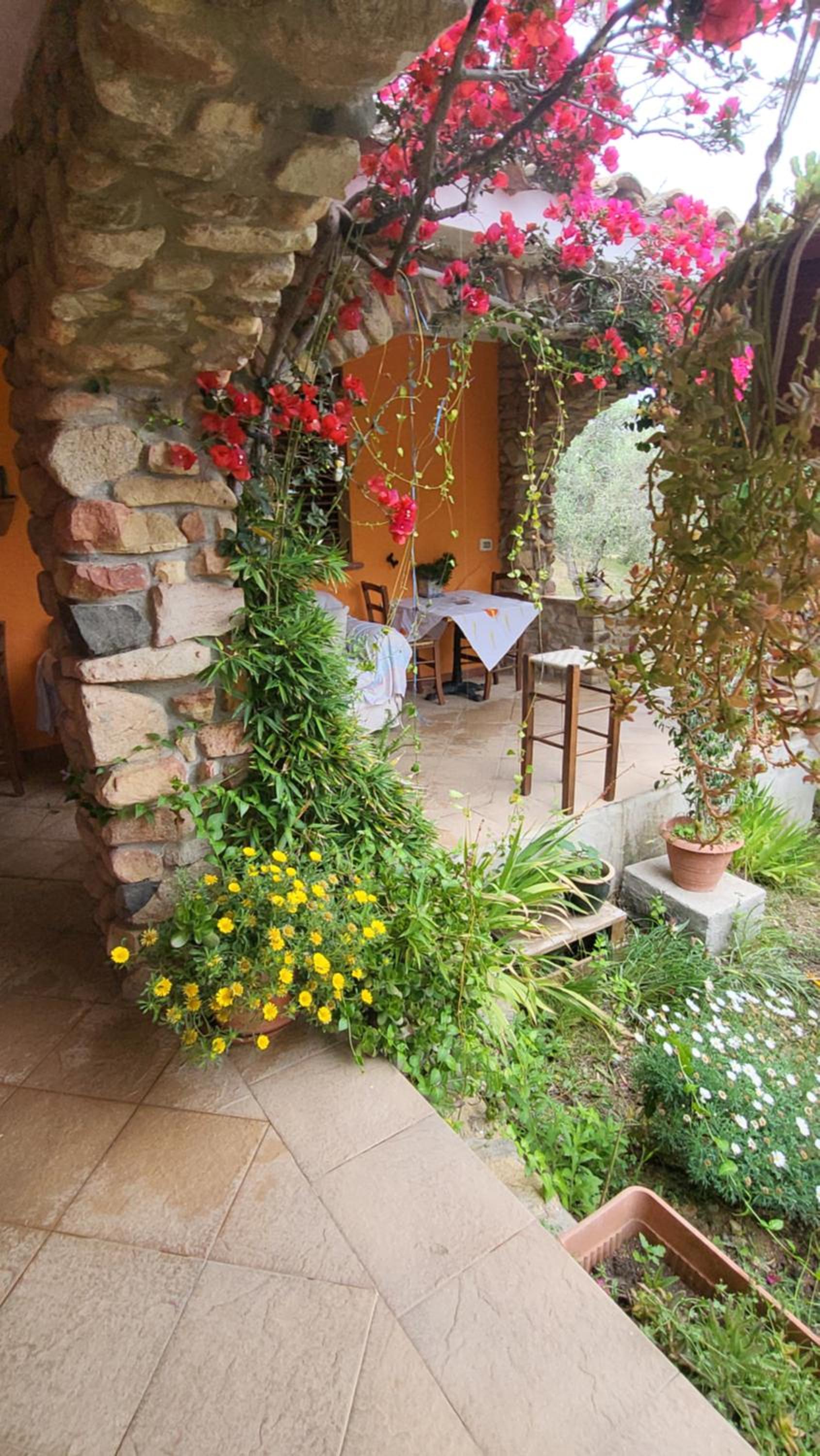 VIlla in mezzo alla natura