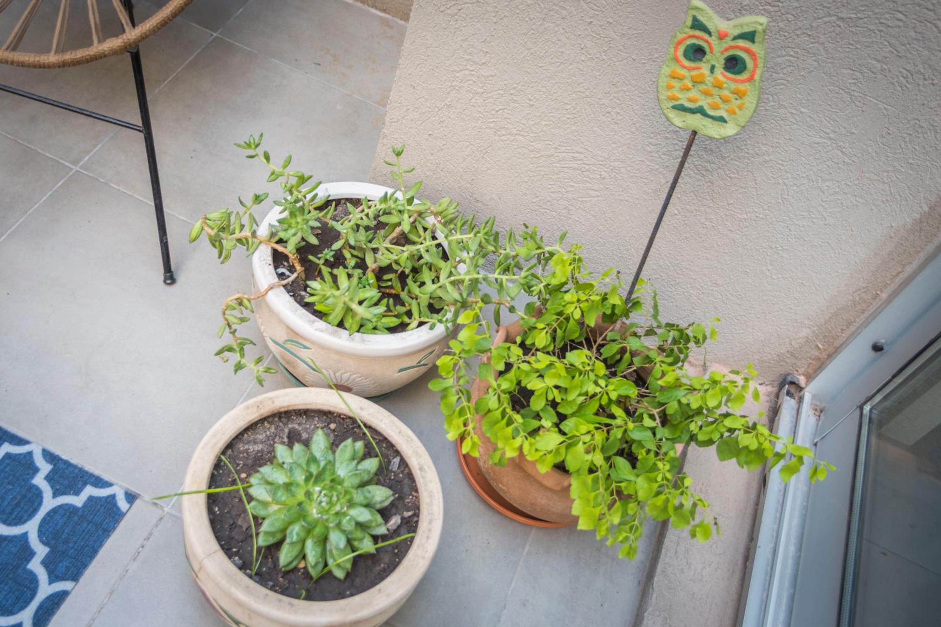 El Patio Suites en Palermo Hollywood