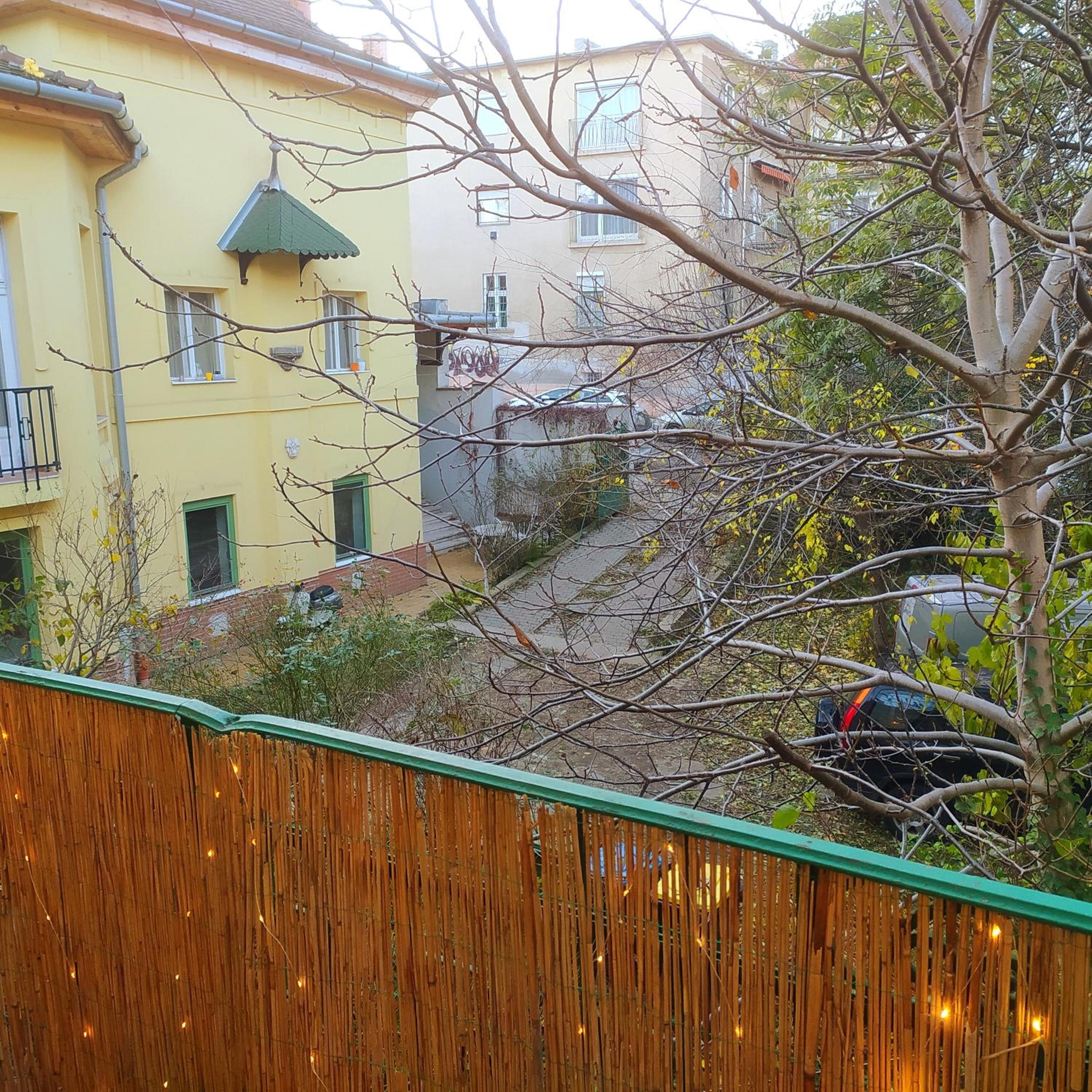 Photo 29