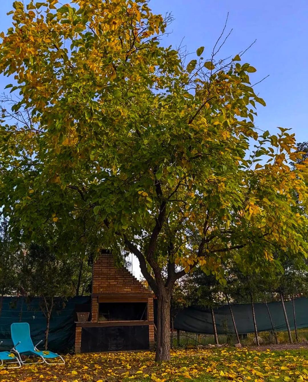 Casa Lutan ,Mendoza, 6 personas ,Montaña y bodegas