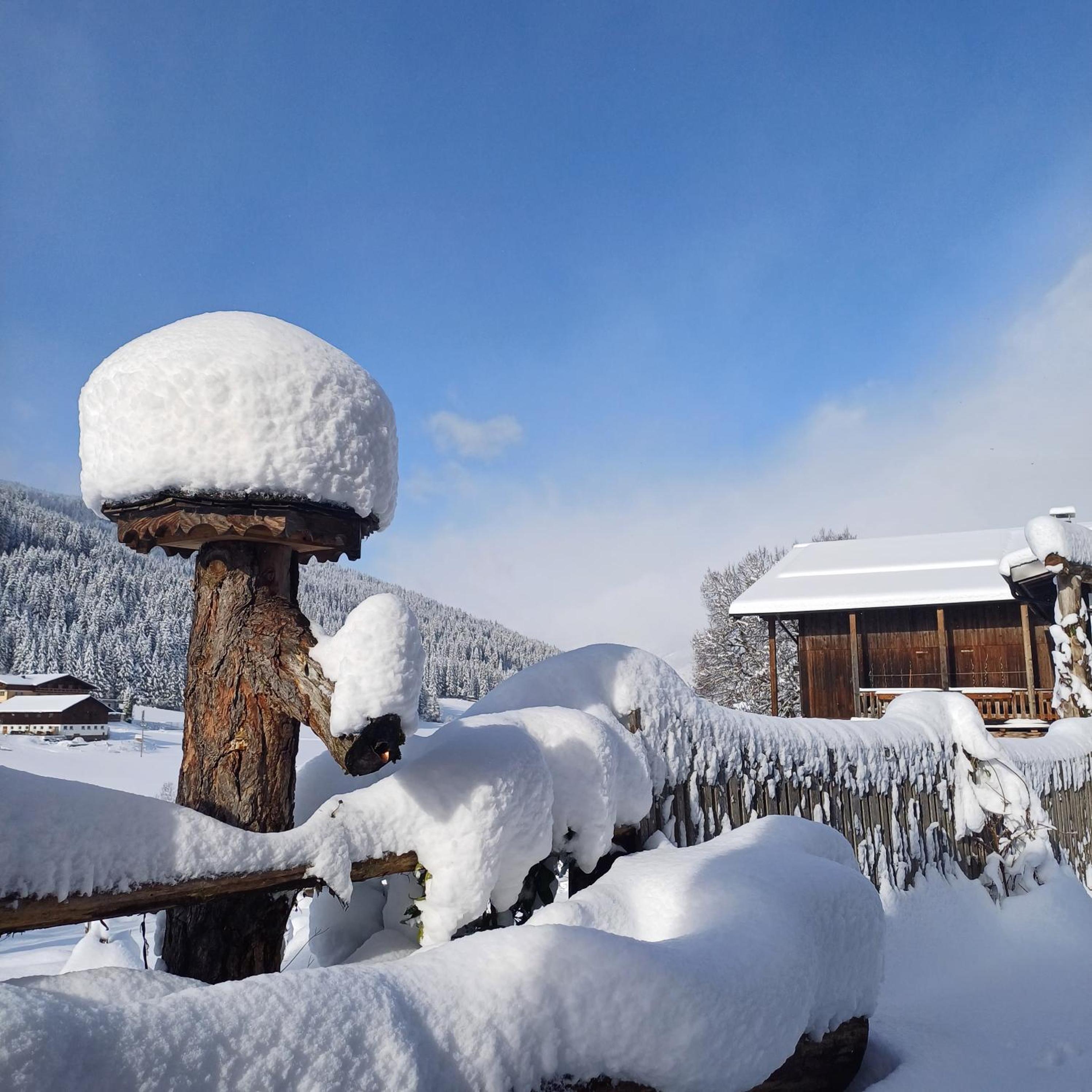 Tiny House am Steinergut