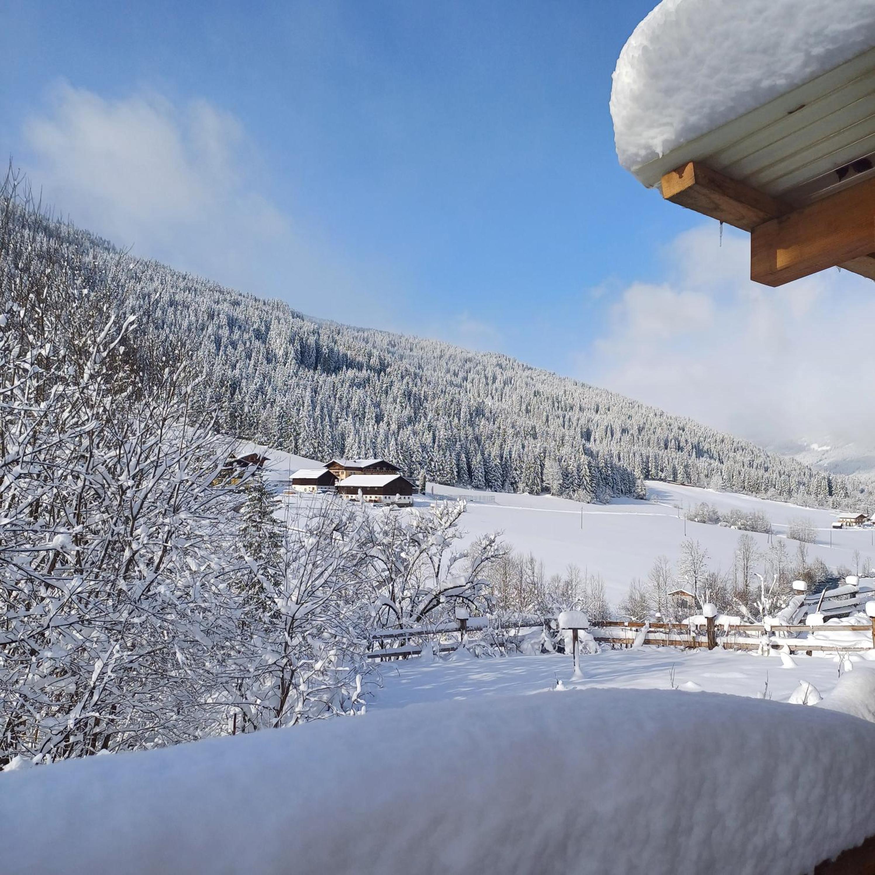 Tiny House am Steinergut