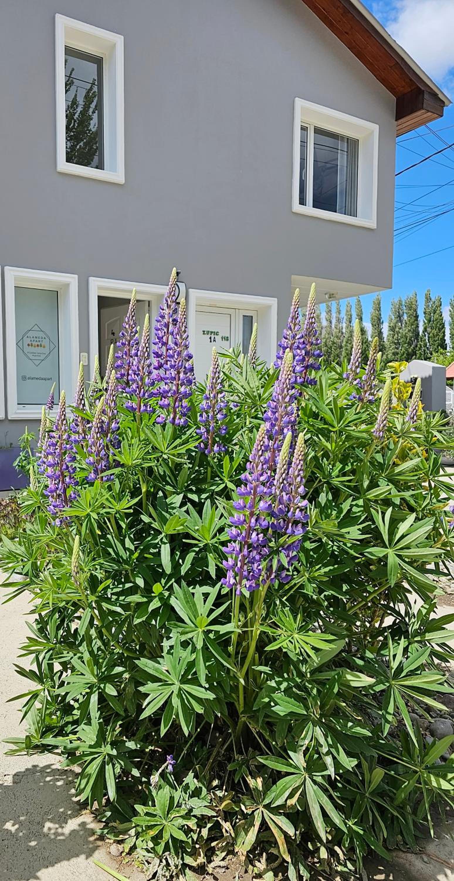 Alameda Reserve Apart