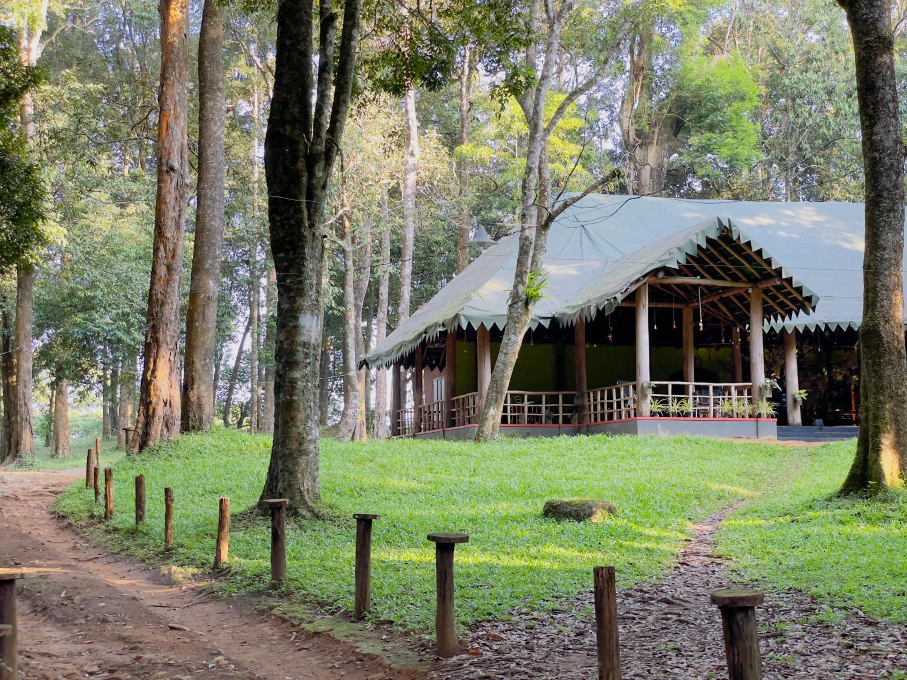 900 Woods Wayanad Eco Resort - A Sprawling Jungle Stay near Glass Bridge