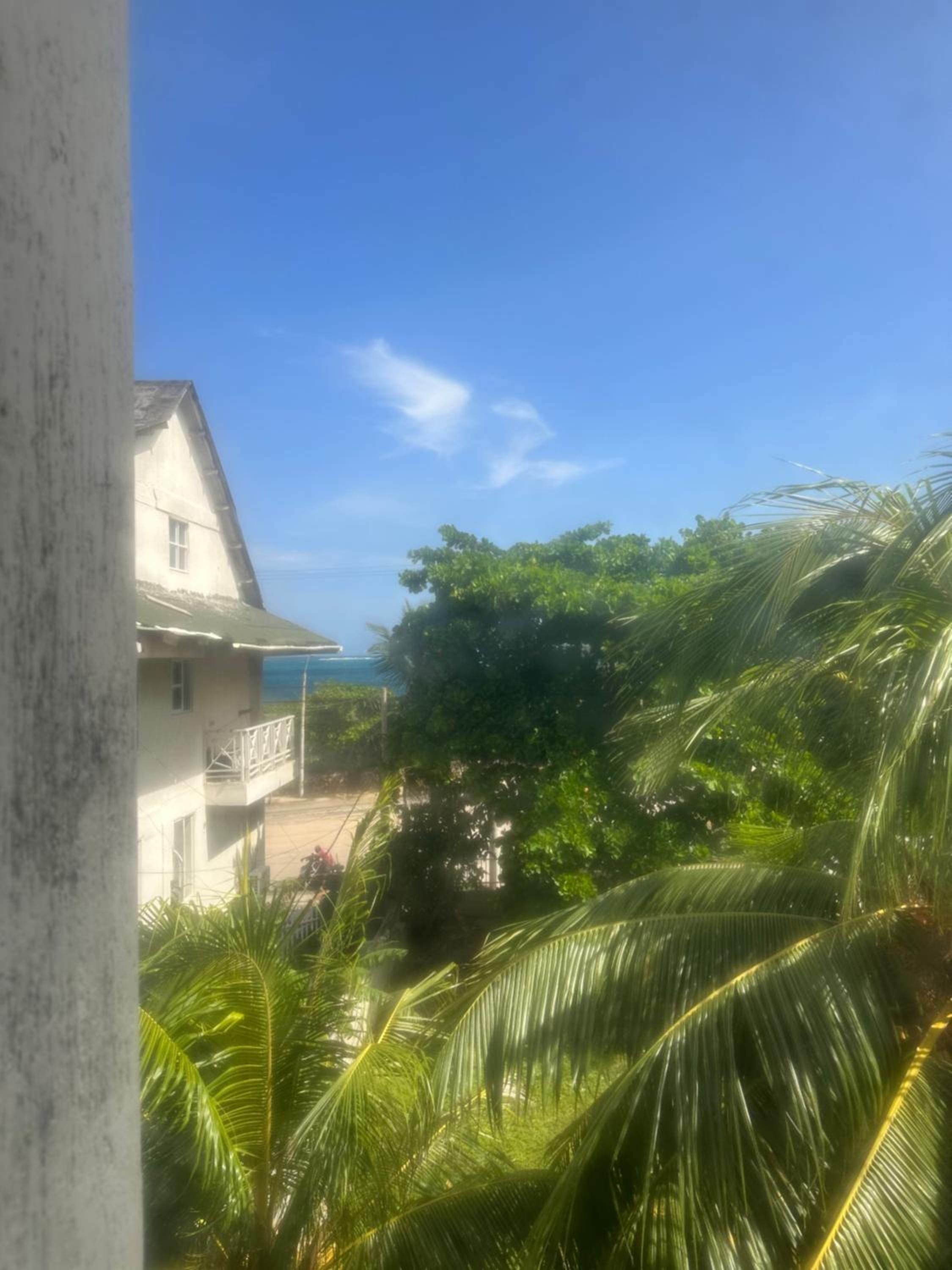 Jhonny Cay Collection Apartment