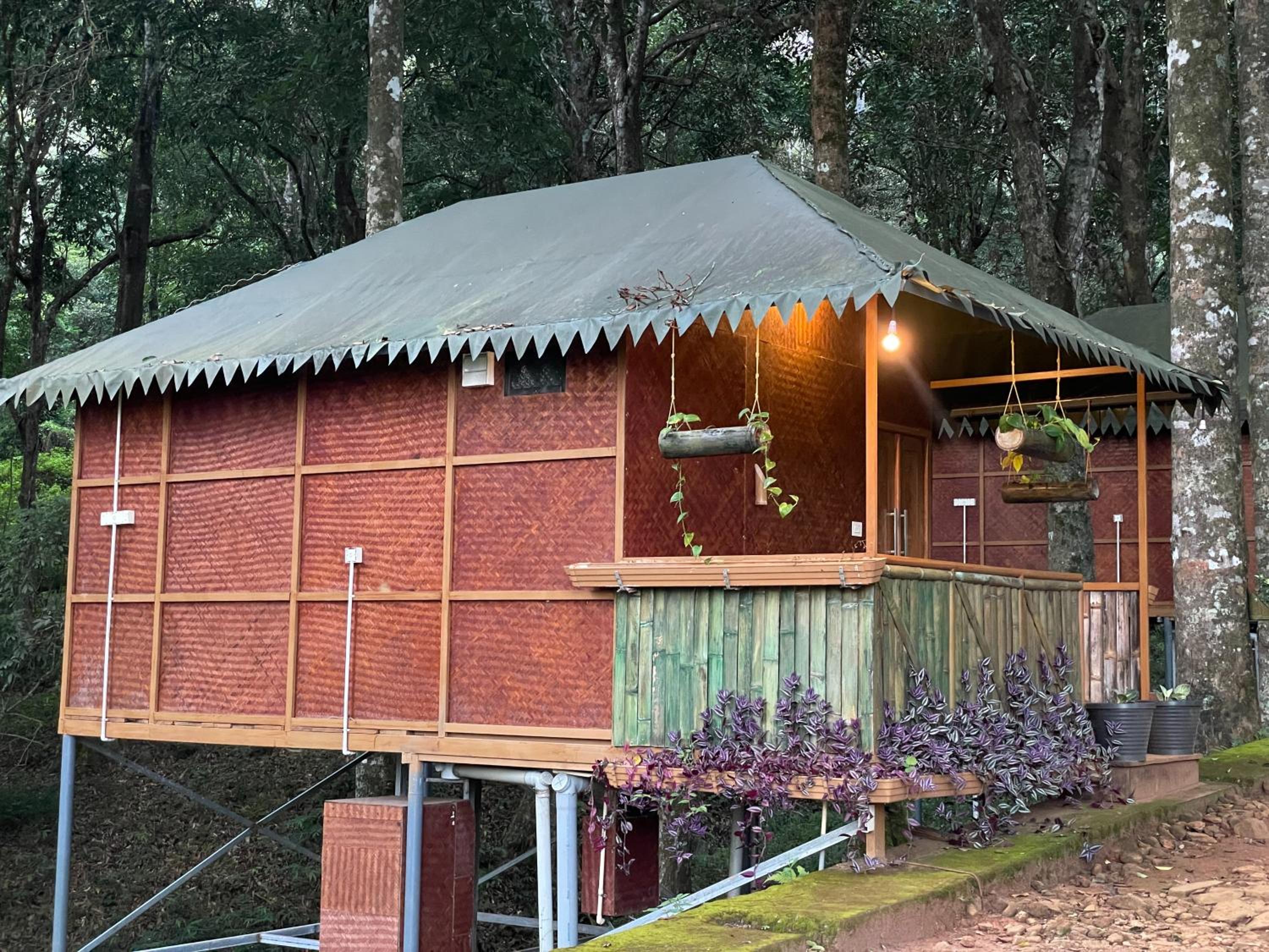 900 Woods Wayanad Eco Resort - A Sprawling Jungle Stay near Glass Bridge