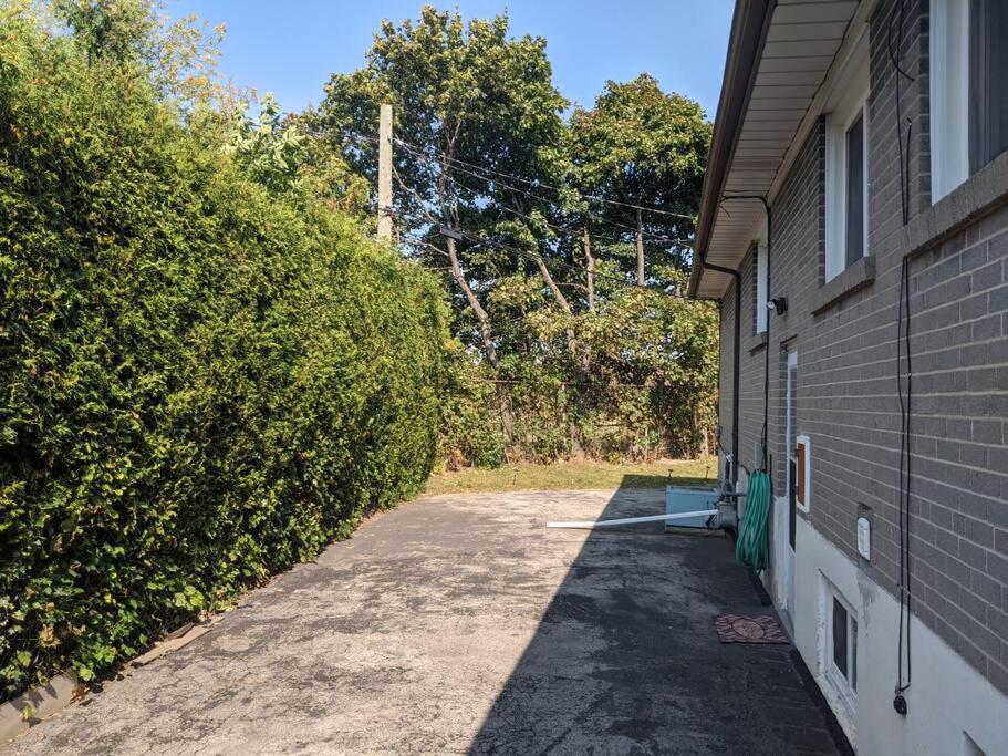 Cozy basement apartment in the heart of Oakville