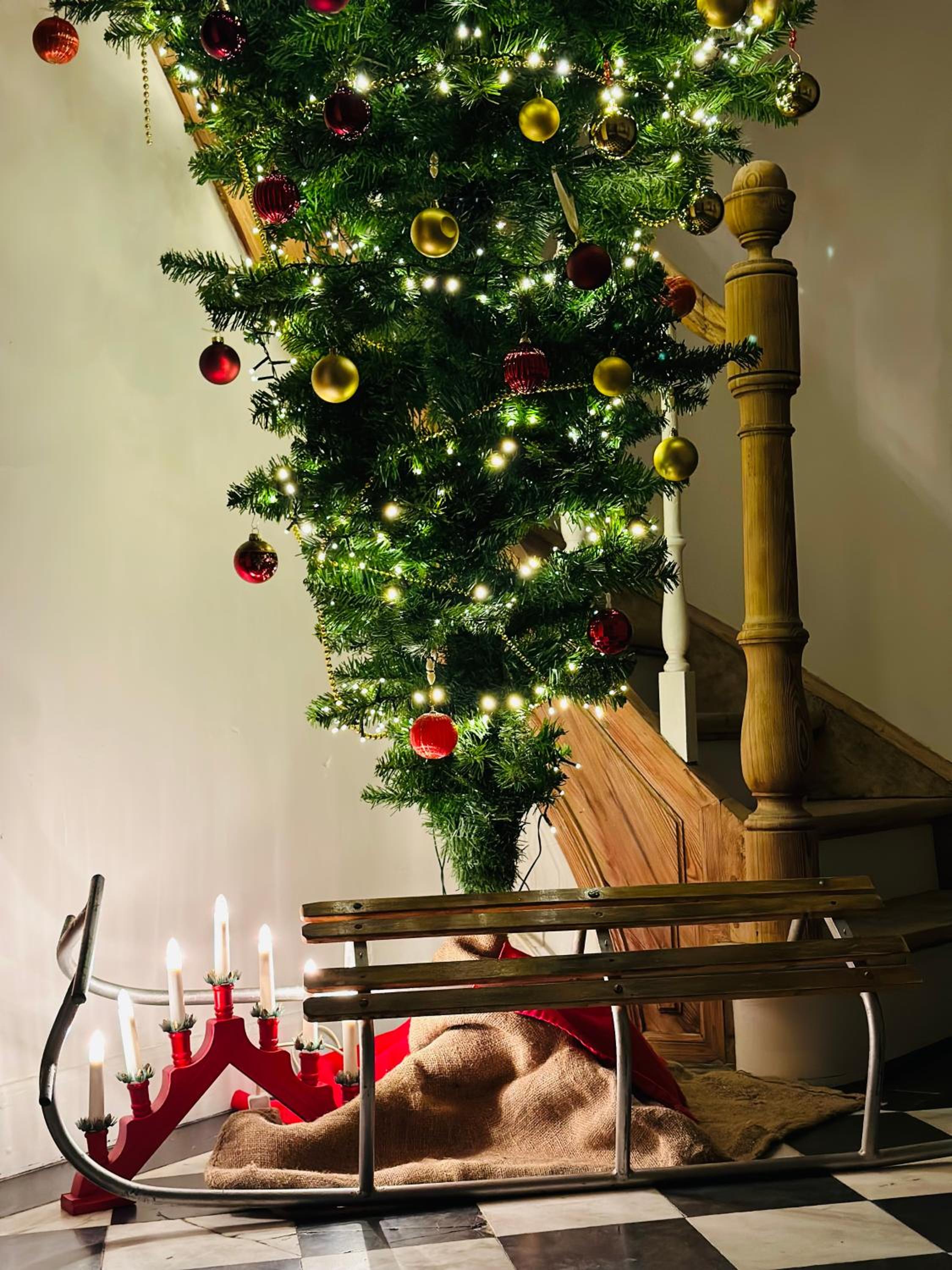 Maison Comtale