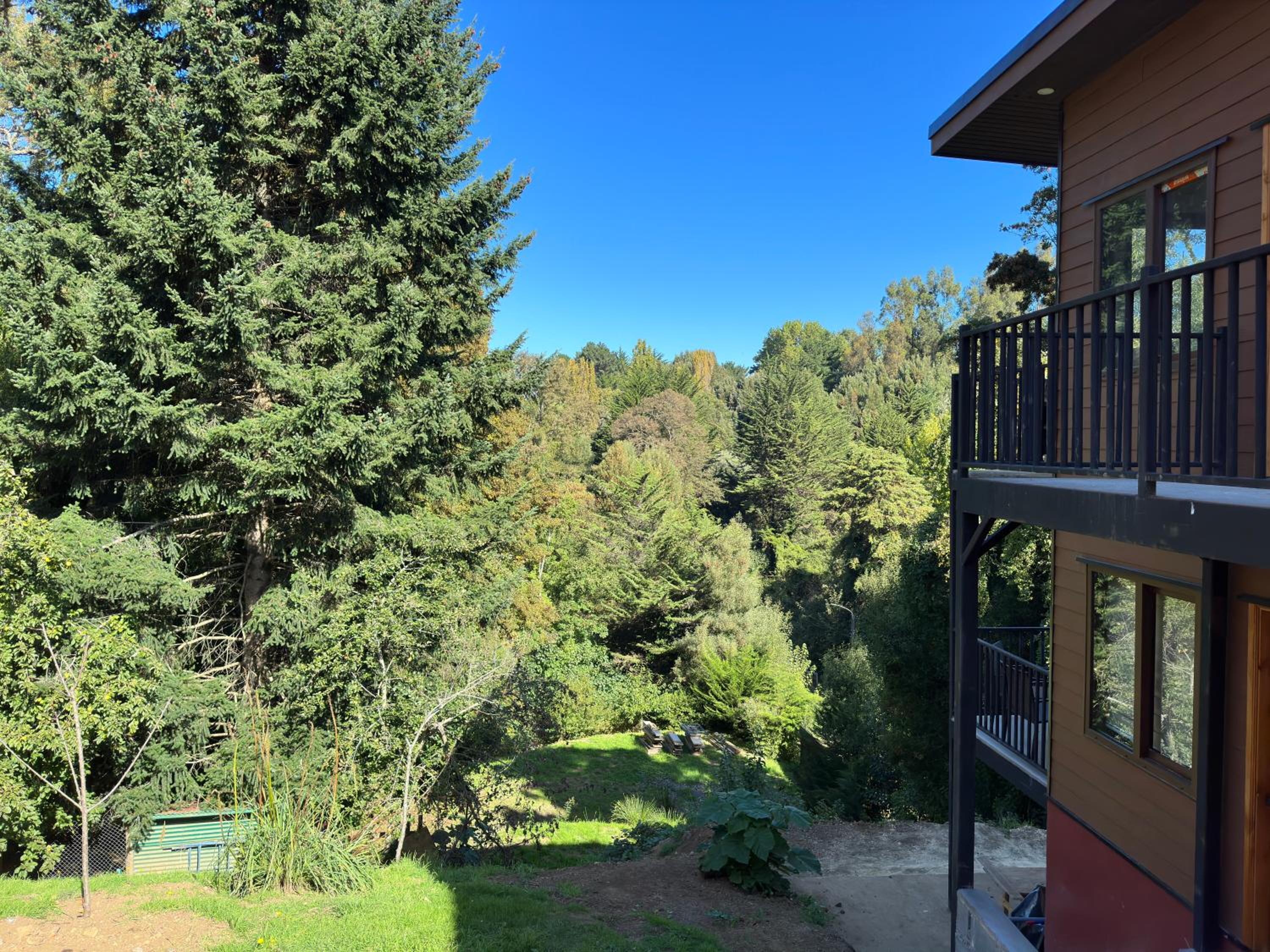 mirabosque aparment ejecutivo 5