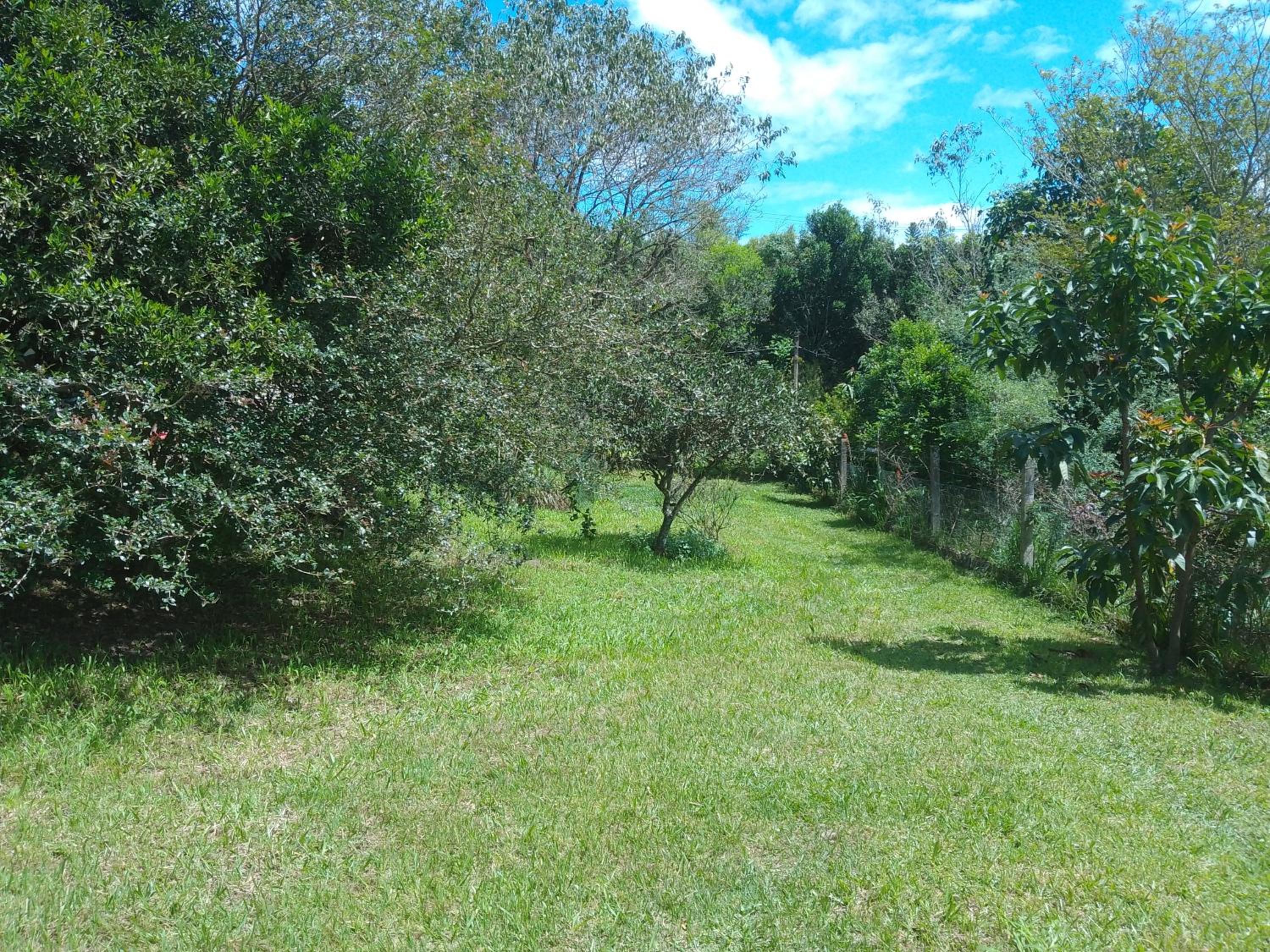 Sítio Iracema